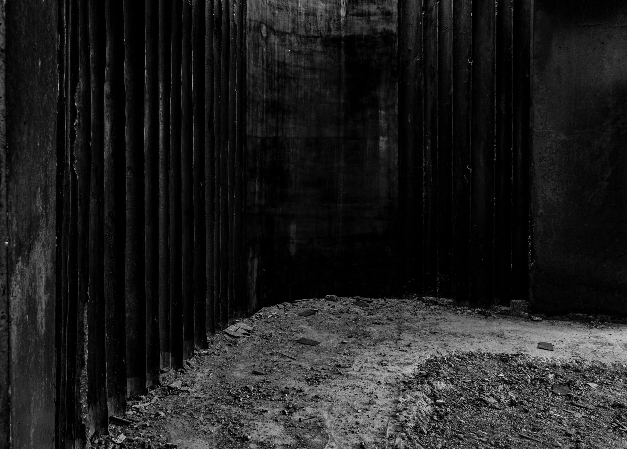 STALB_CANOPY_TEXTURE K_BSA_BW.jpg