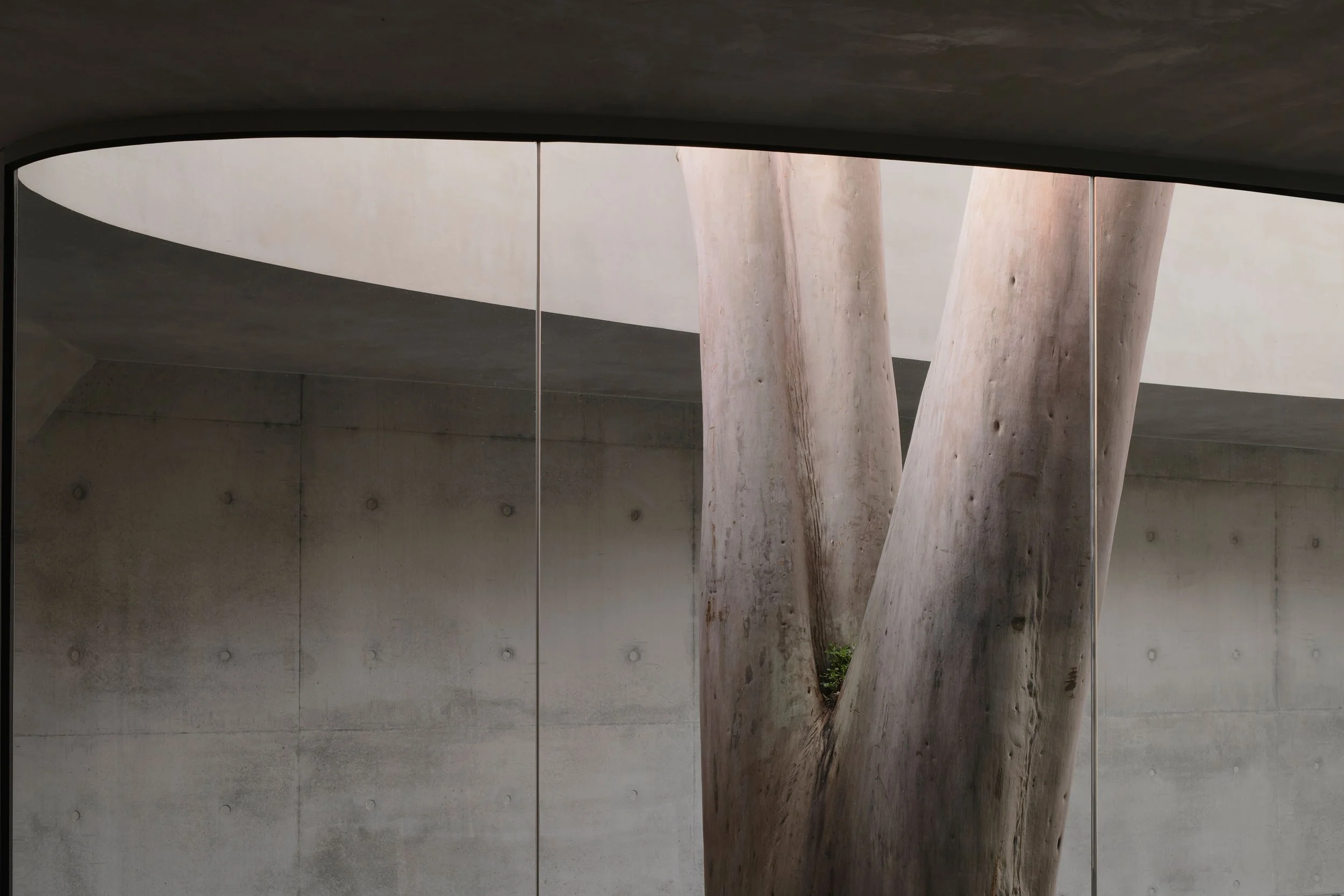 FW_Marcellin_Flyover_0812-17.jpg