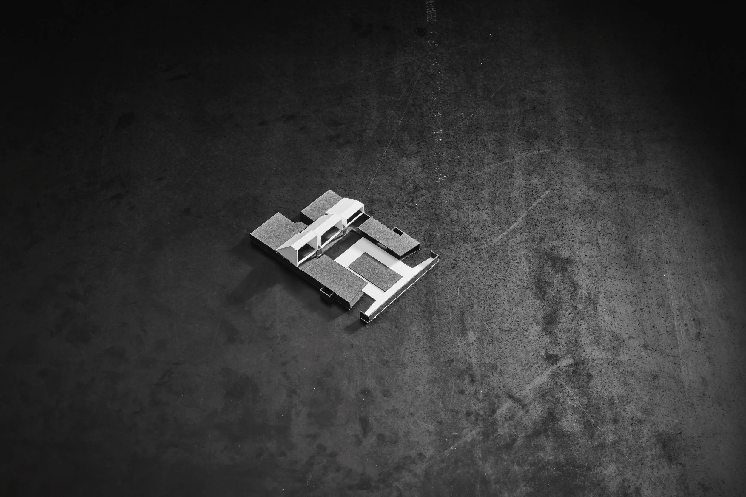 BRANCH STUDIO_CASA X_FIRST MODEL_PETER CLARKE_00.jpg