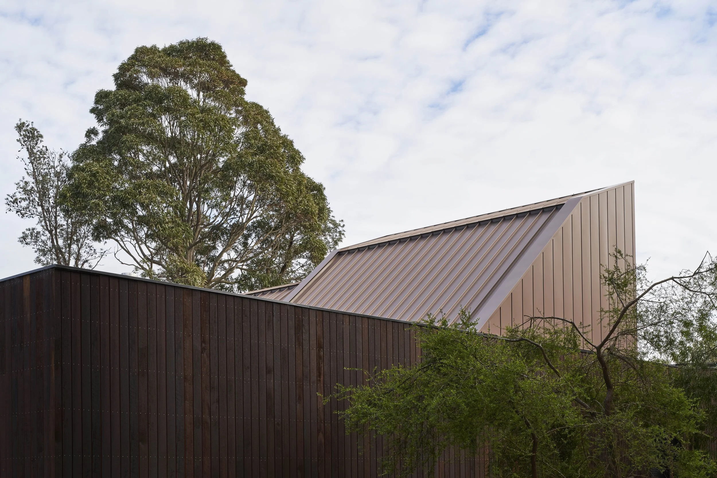 BRANCH STUDIO_CASA X_PETER CLARKE_002.jpg