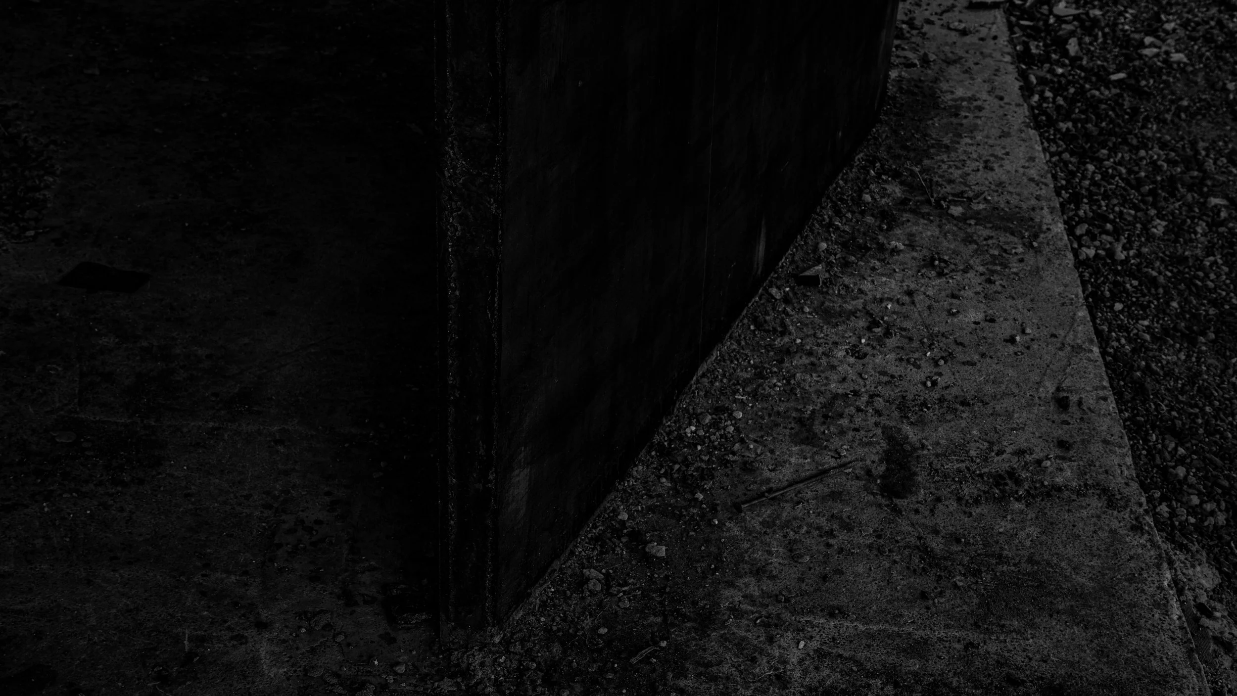 STALB_CANOPY_TEXTURE LEG_BSA_BW.jpg