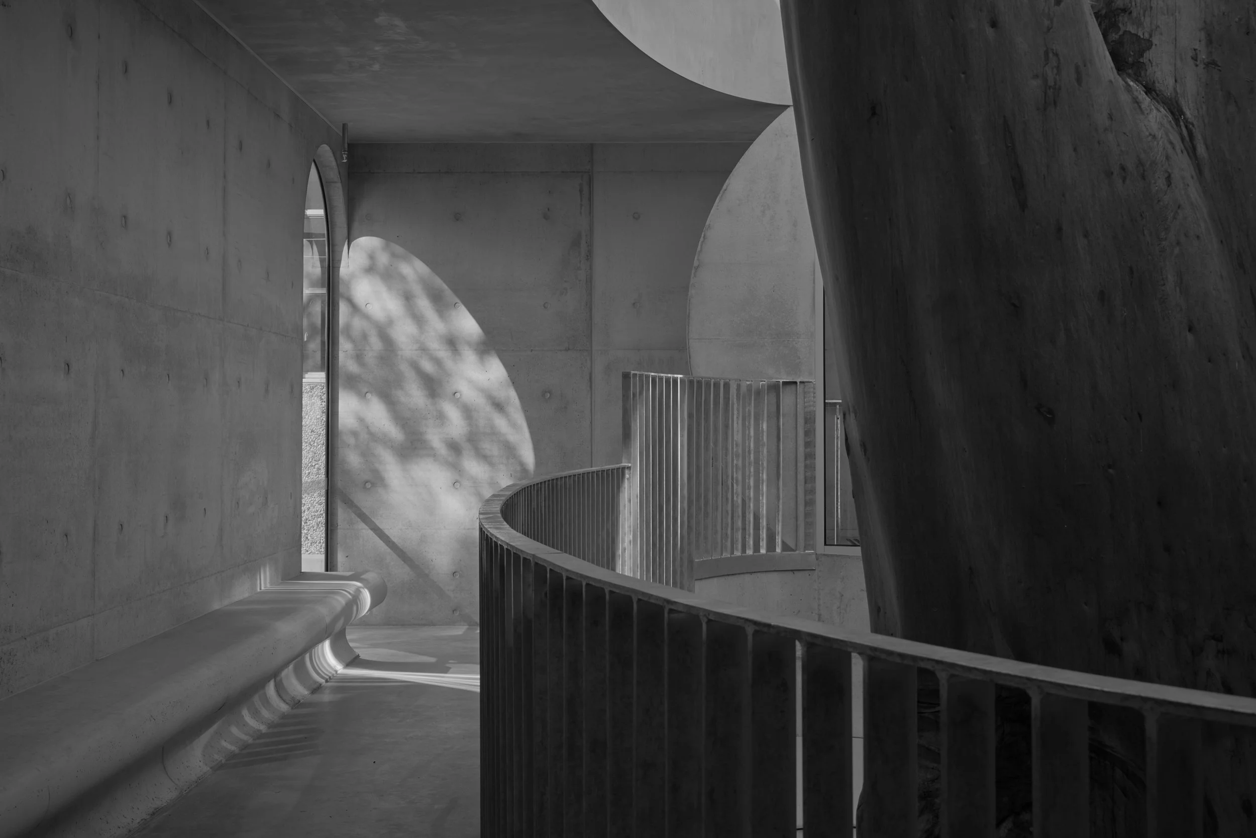 Gallery for a Tree - Marcellin College