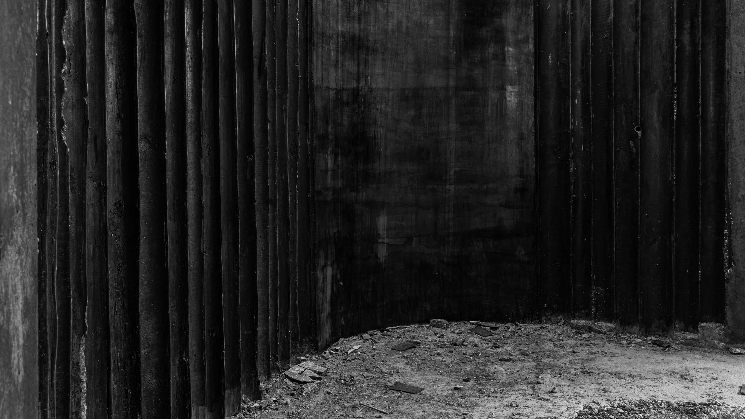 STALB_CANOPY_FLOOR TEXTURE_BSA_BW.jpg