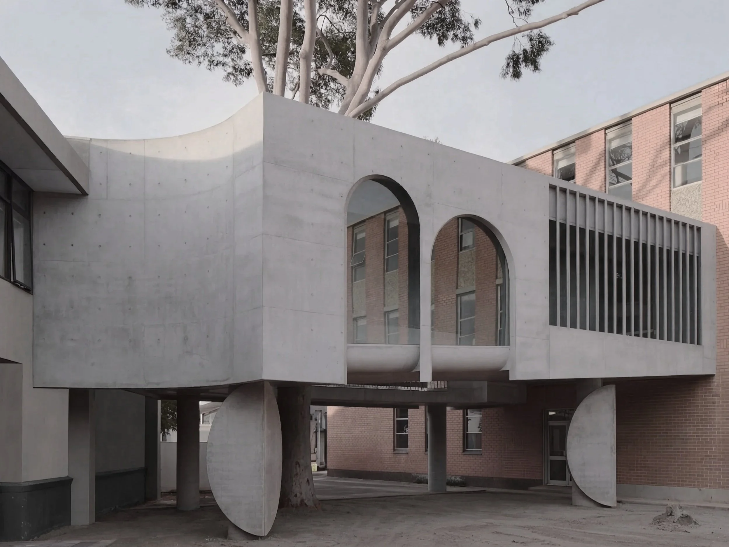 Gallery for a Tree - Marcellin College