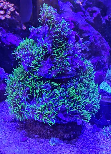 Screenshot 2025-12-12 212414.png