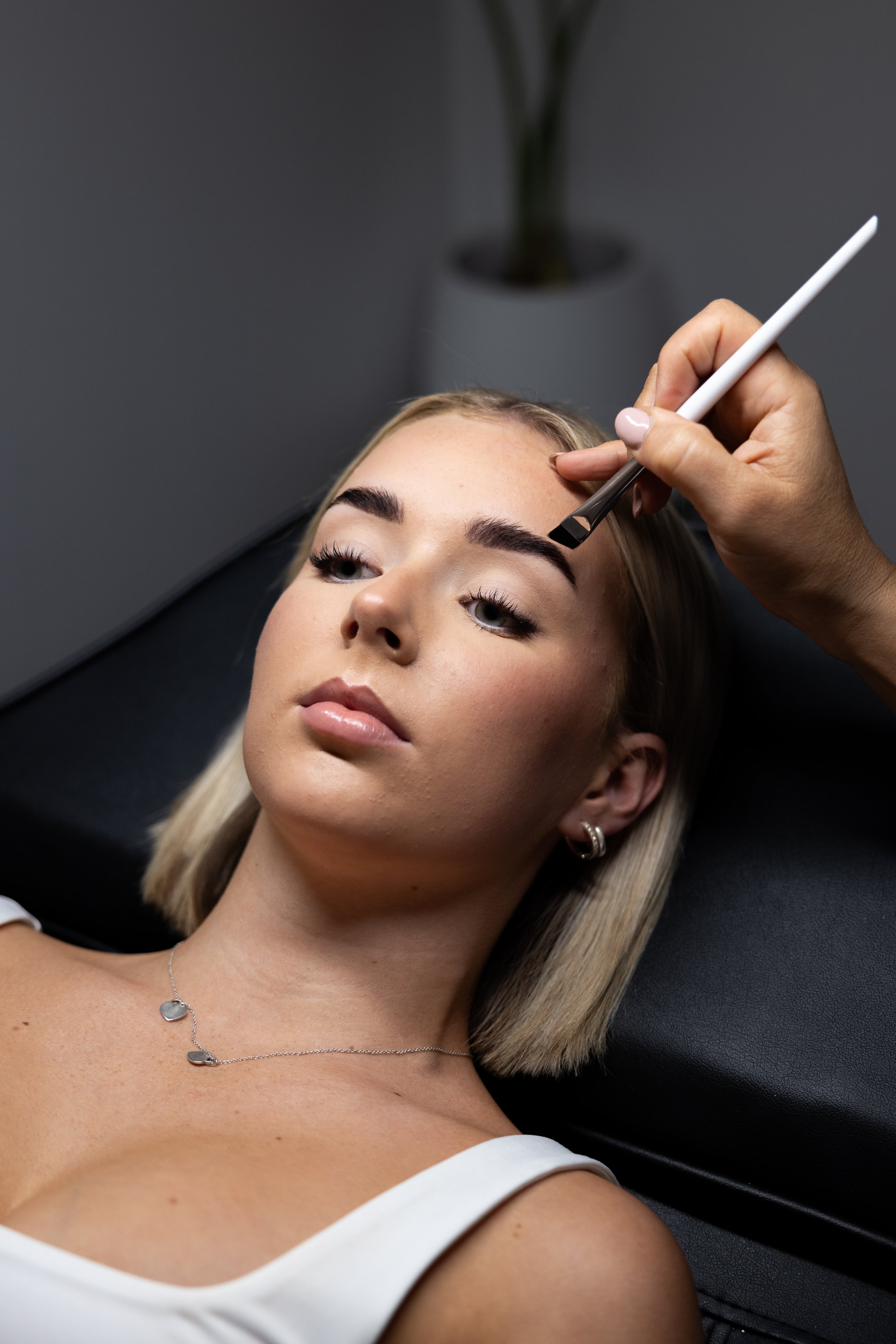 Snow-capped mountains in the distance with grassy hills in the foreground under a cloudy sky.