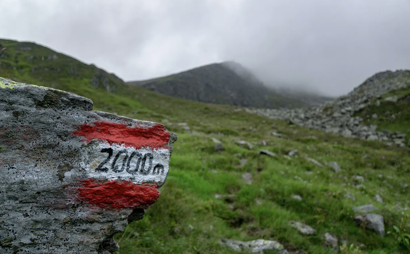 From Zero to 2,000 Subscribers: Building Your Author Newsletter