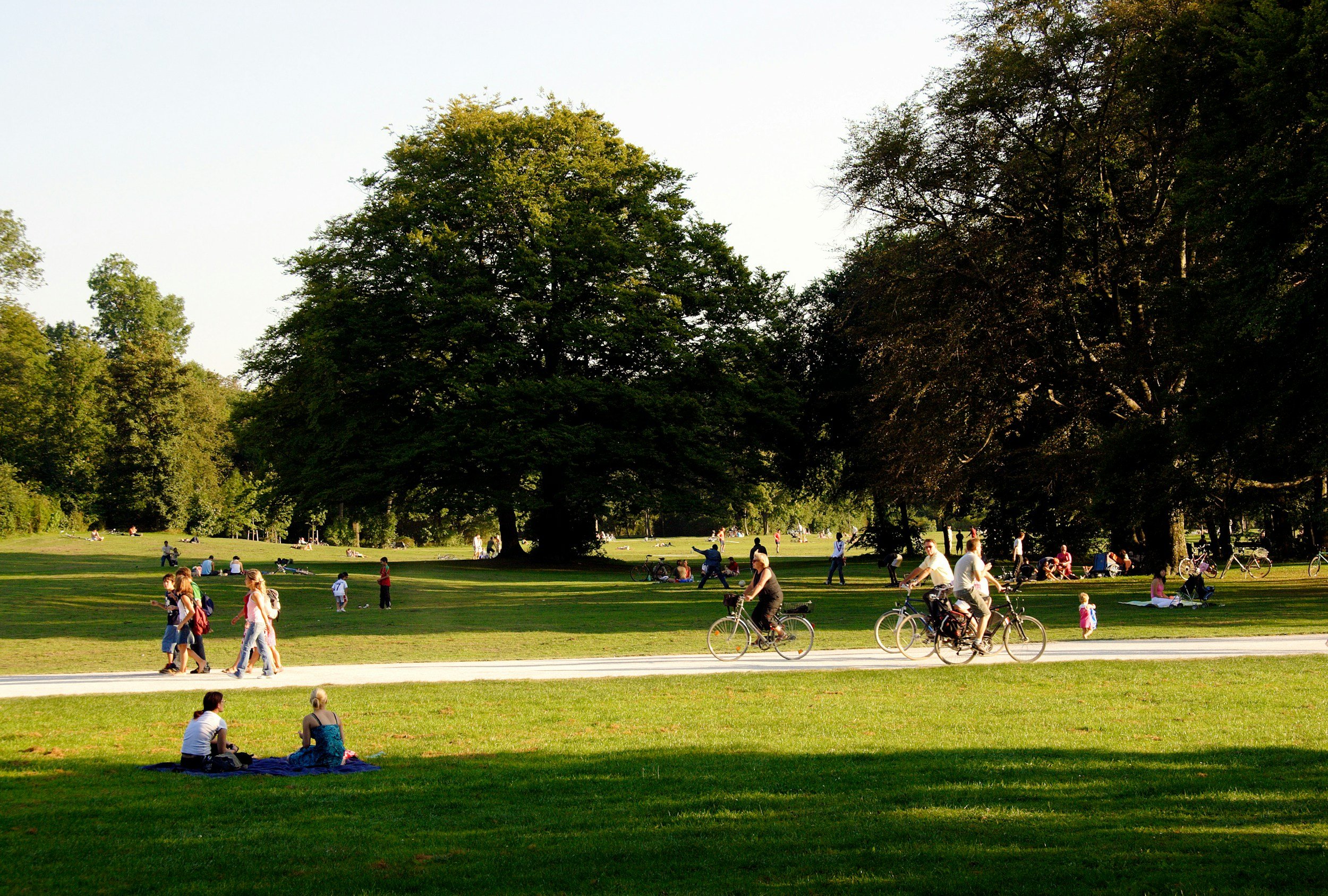 Park scene with people walking, biking, and relaxing on grass, surrounded by large trees