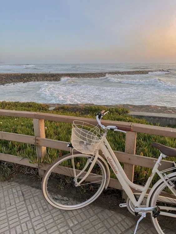 bicycle at the beach