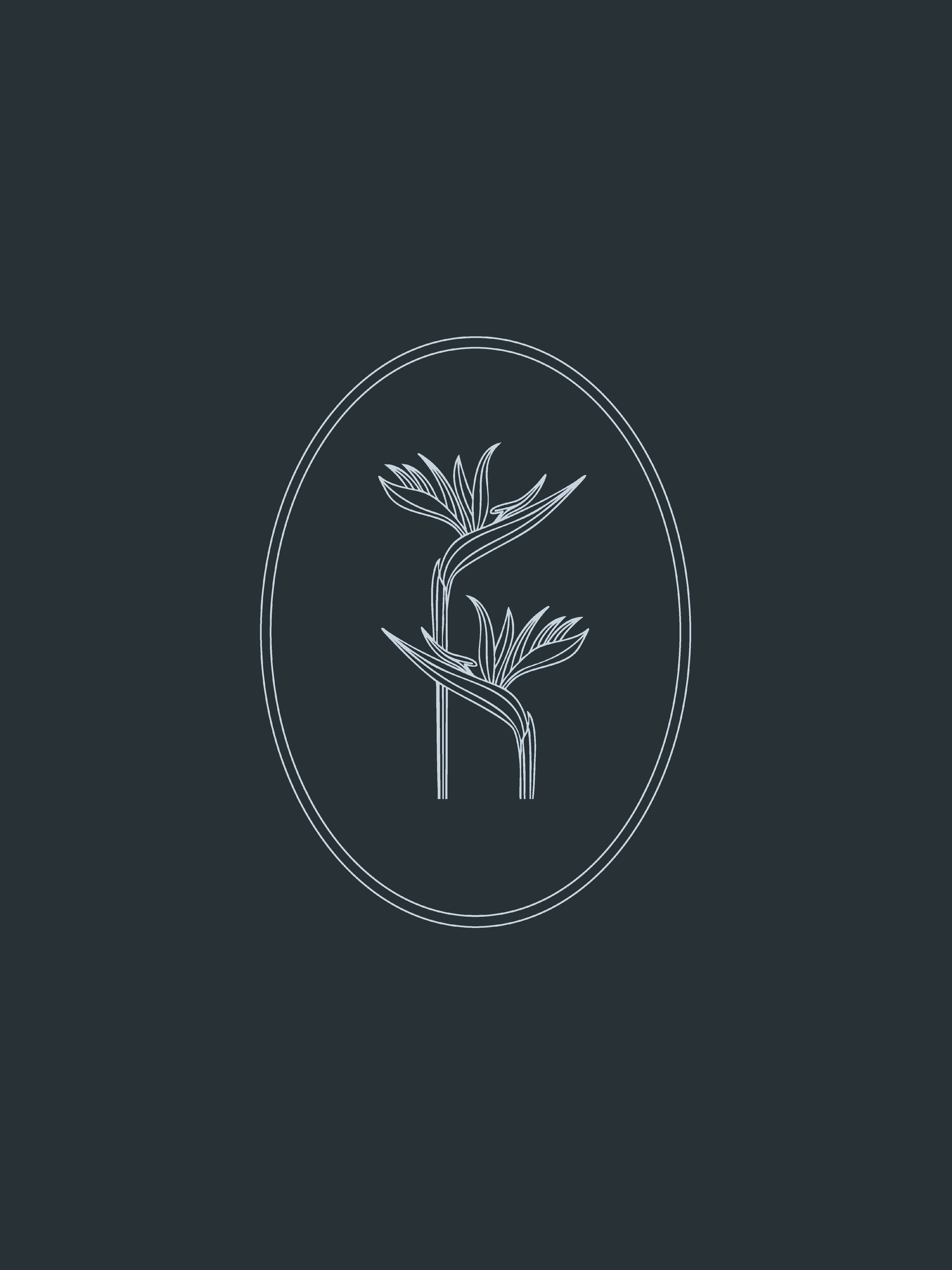 Minimalist line drawing of a plant inside an oval frame on a dark background.