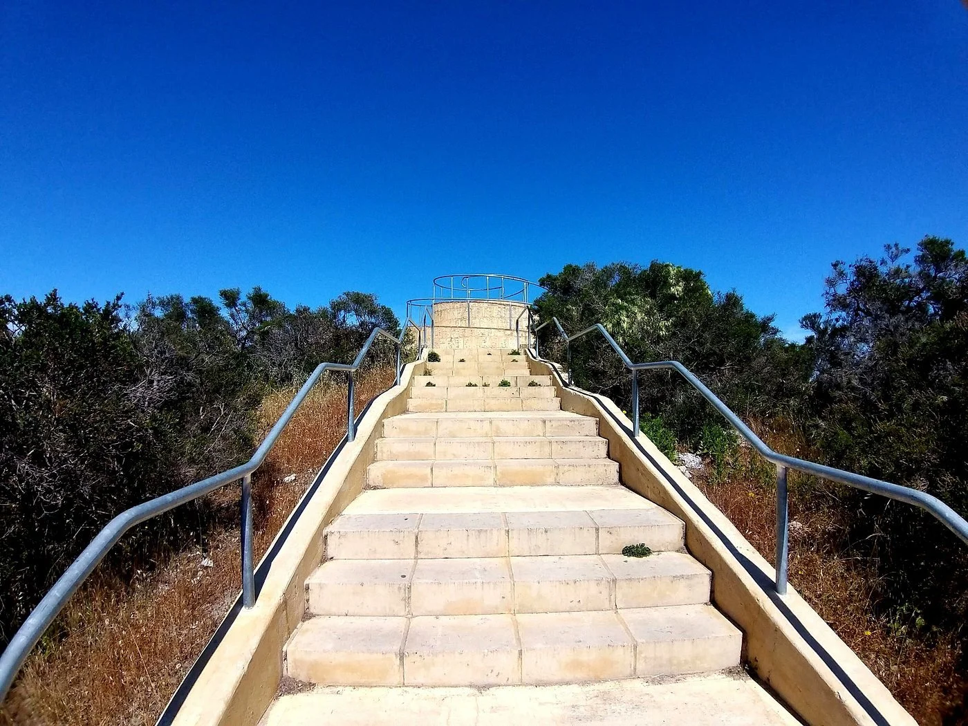 Concrete staircase with metal railings leading up a hill, surrounded by bushes and trees, under a clear blue sky.