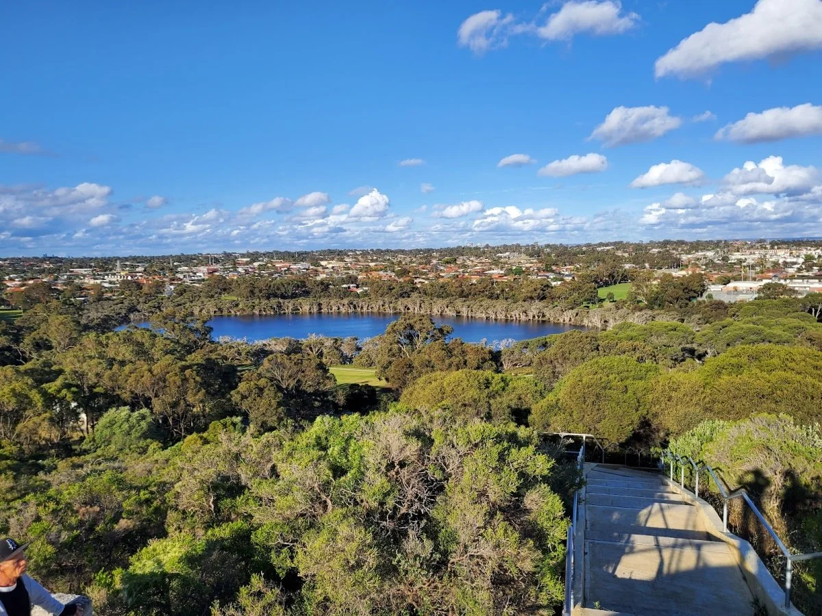 A scenic view of a city with a lake surrounded by trees, a cloudy blue sky, and a metal staircase in the foreground.