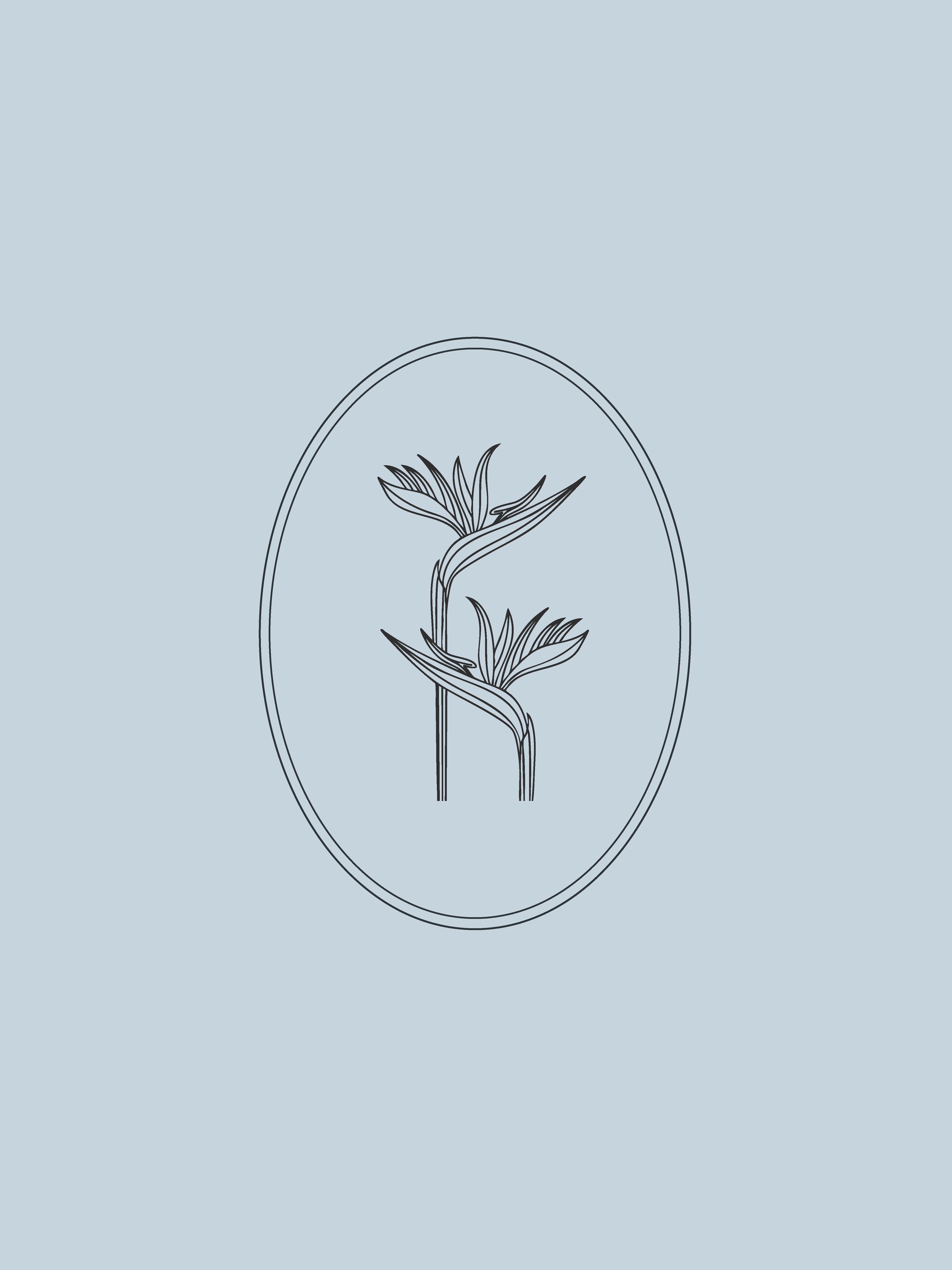 Line drawing of a plant with elongated leaves inside a simple oval frame on a pale blue background.