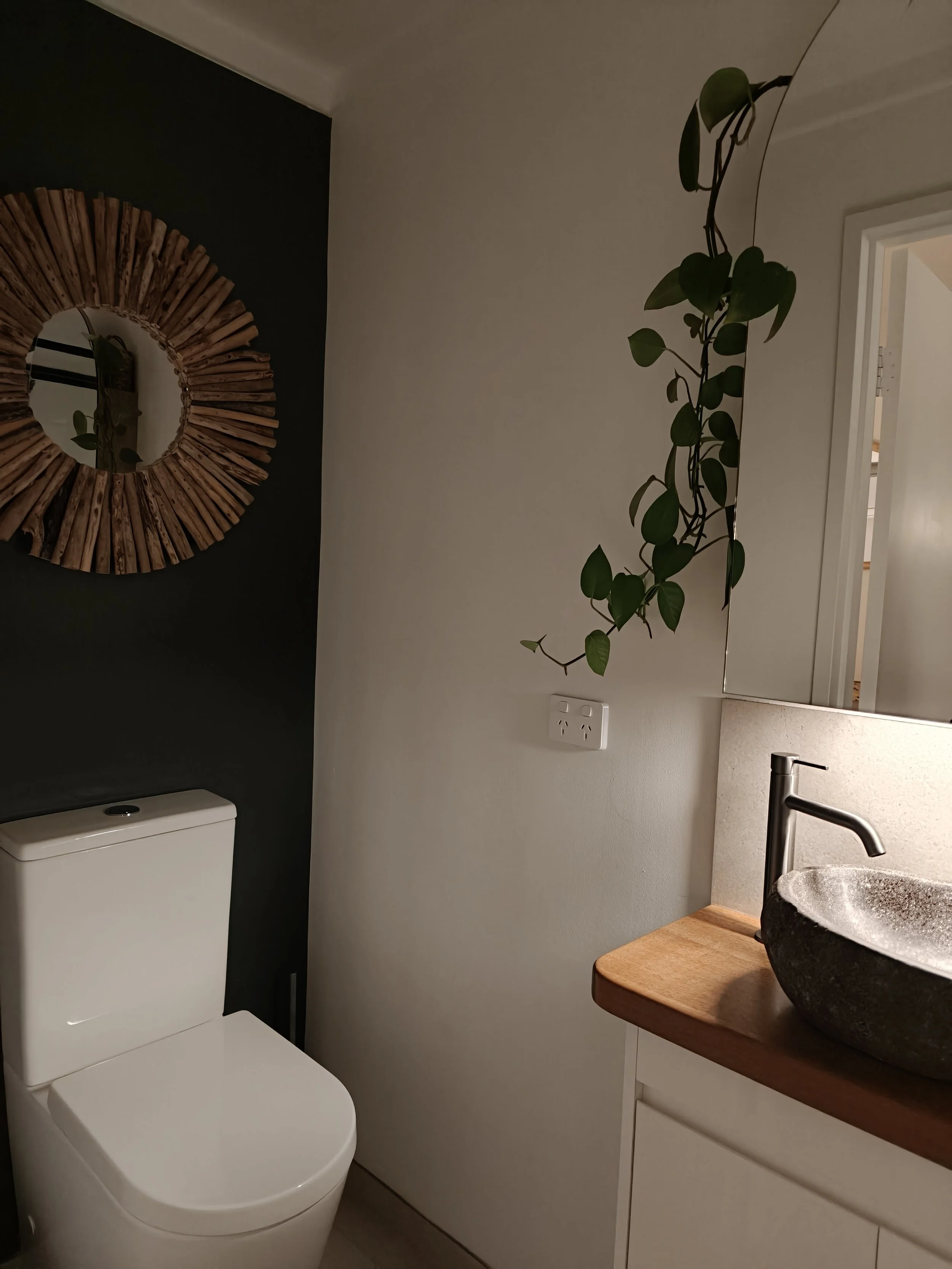 A bathroom with a toilet, a vanity with a sink, a round stone vessel sink, a black faucet, a mirror, a potted plant hanging from the ceiling, and a wall with a power outlet. The bathroom has a dark accent wall and a light-colored wall.