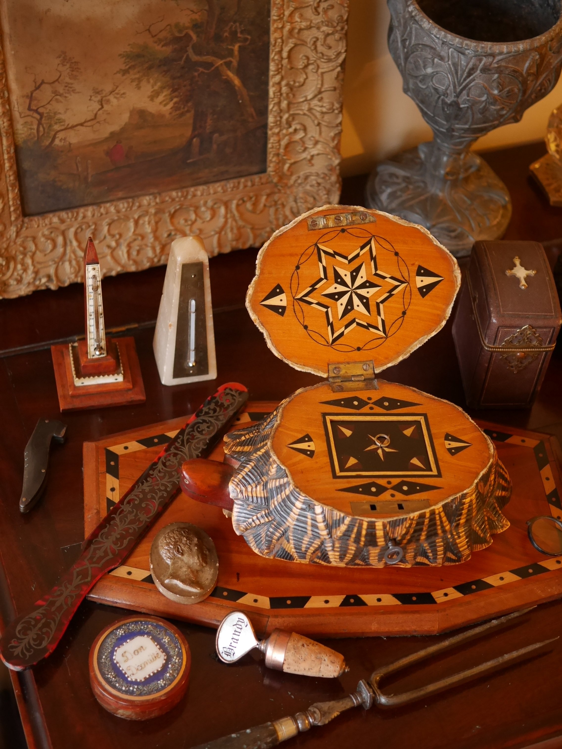 Cabinet of curiosities