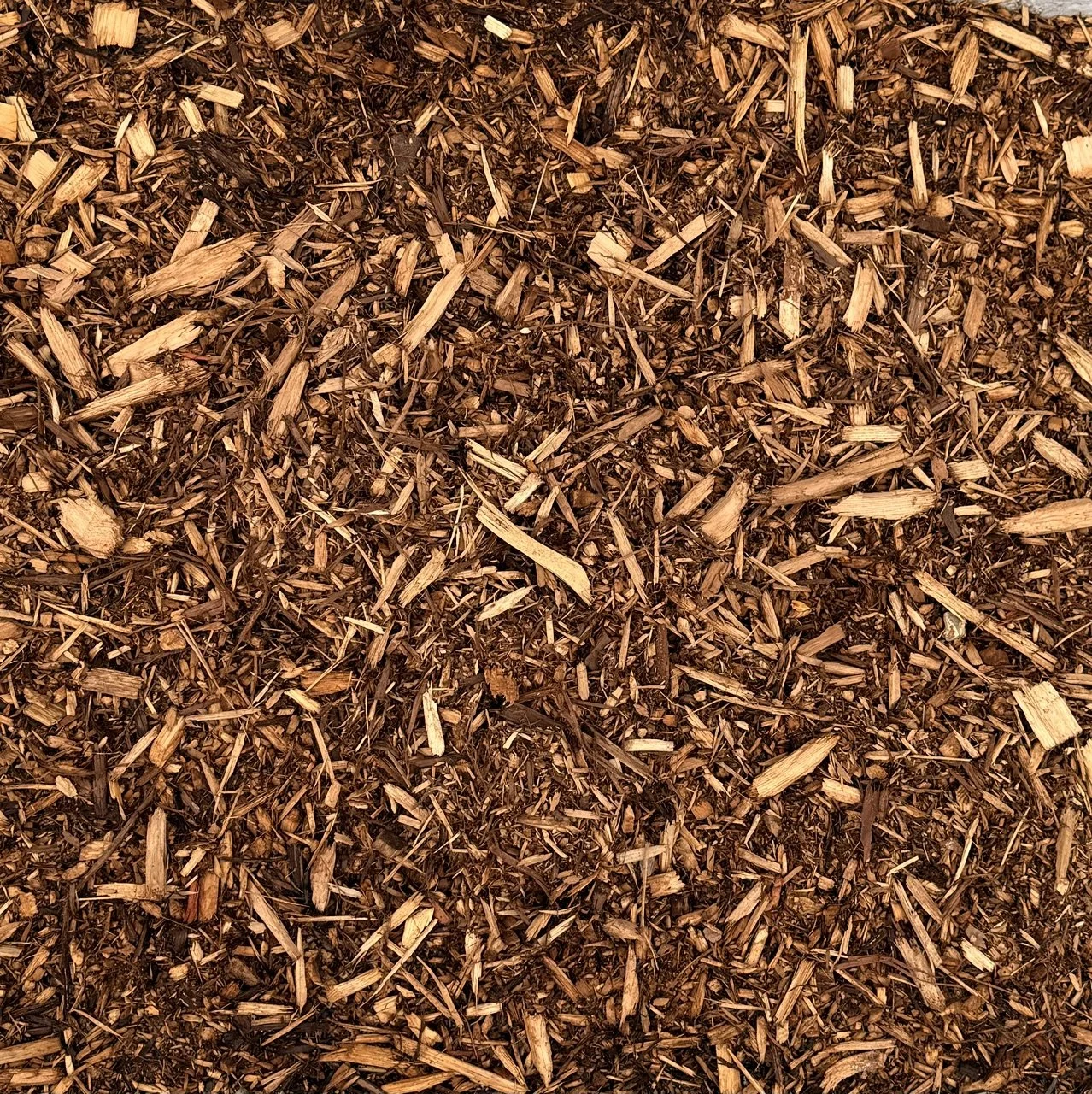 Close-up view of shredded brown wood mulch.