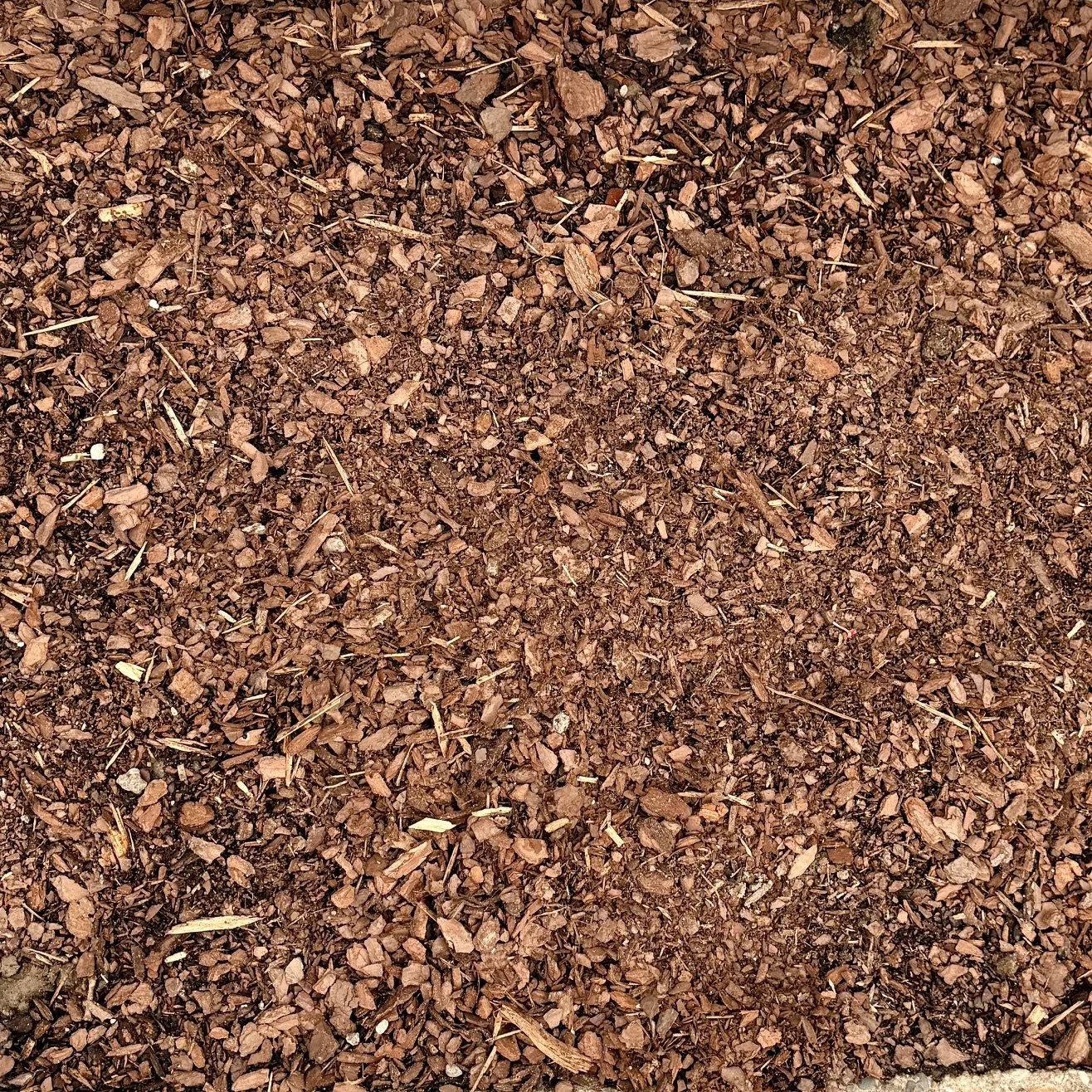 Close-up of brown mulch or wood chips on the ground.