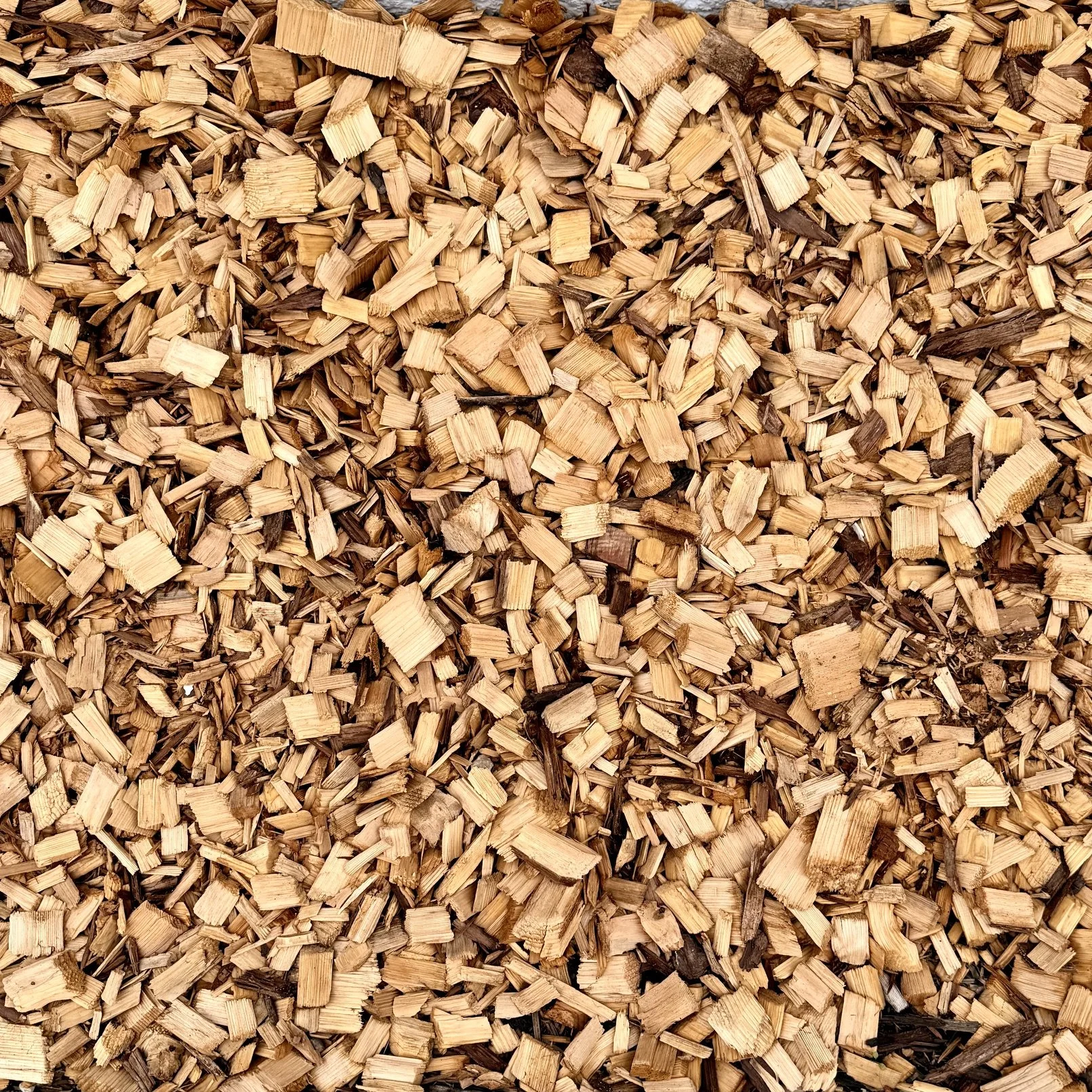 A large pile of chopped firewood pieces.