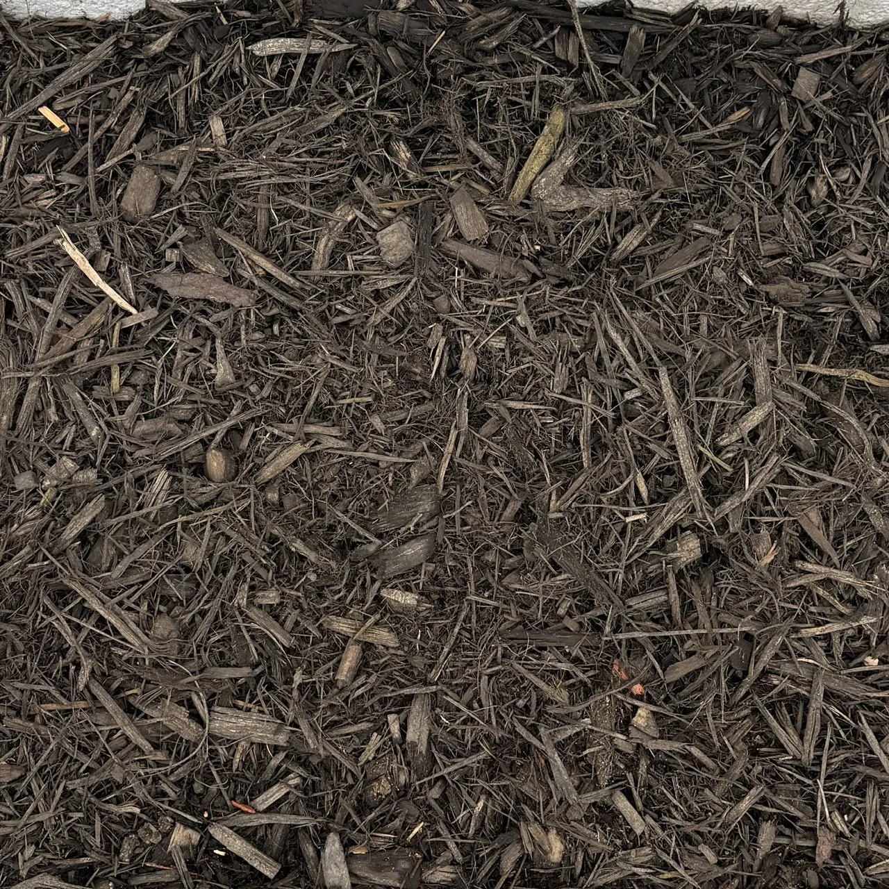 A close-up view of dark brown compost or mulch made of small wood chips and shredded bark.