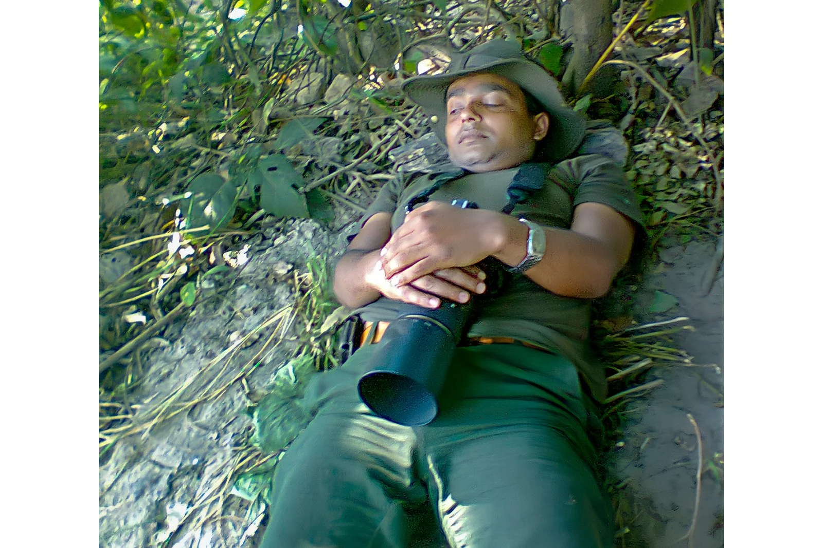 Resting in the shade while waiting for tiger to show up