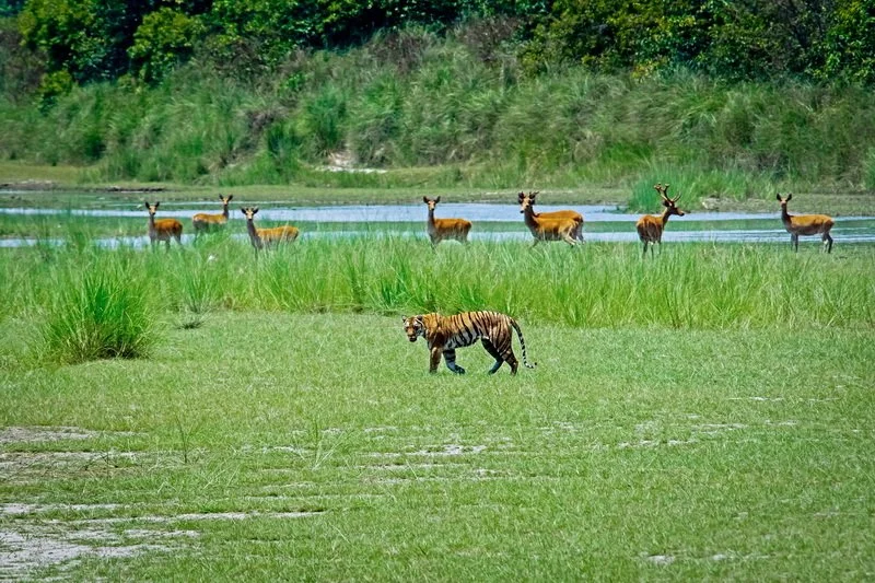 DSC_1143.jpg