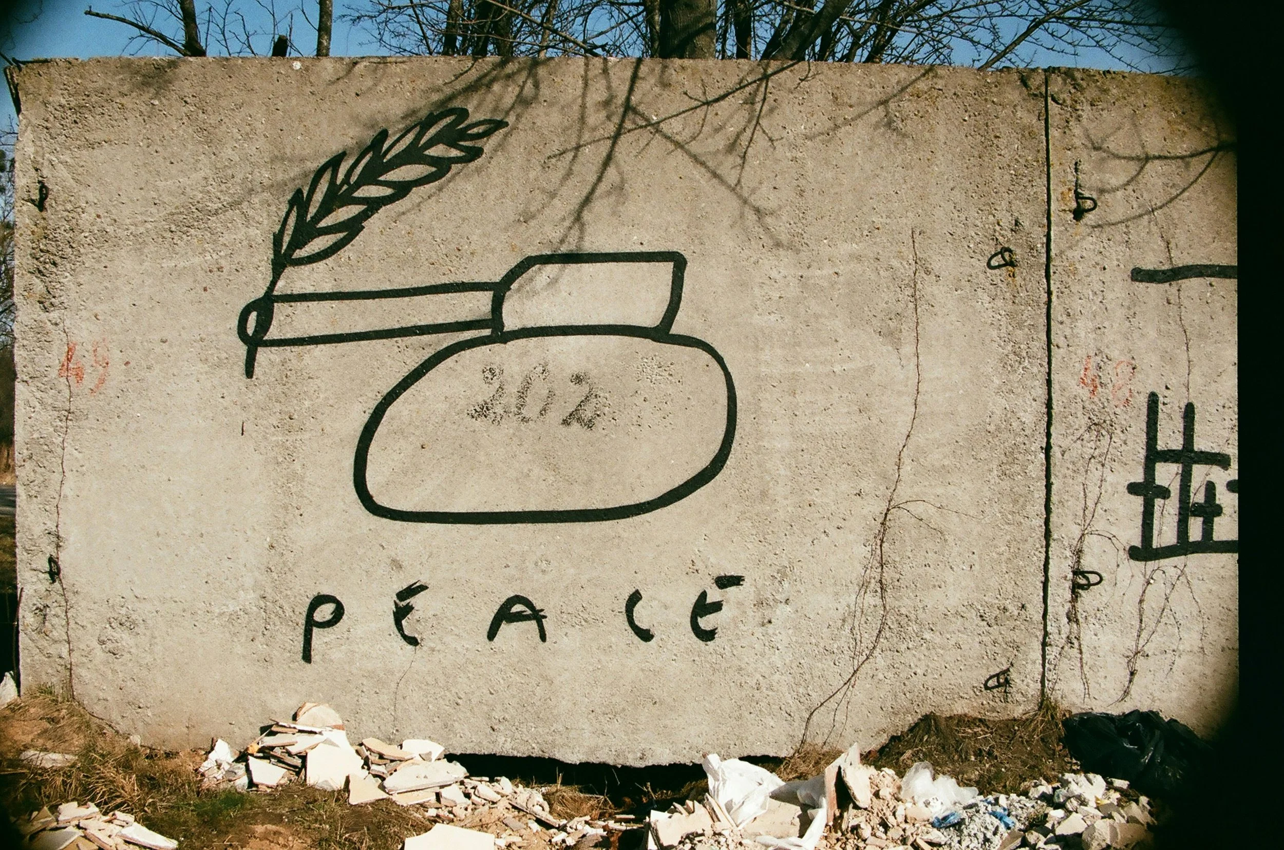 Street art depicting a bomb with a plant sprouting from its fuse and the word “PEACE” painted below.