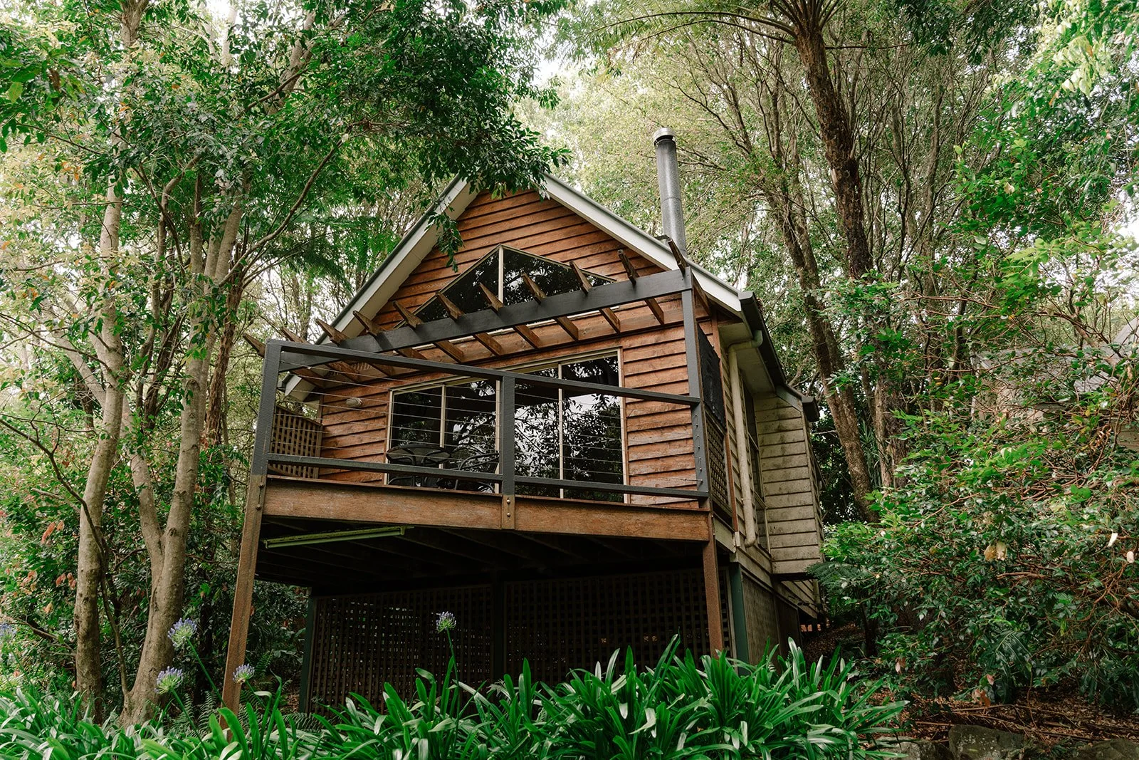 Faint_Shambala Estate 2025_0046.jpg