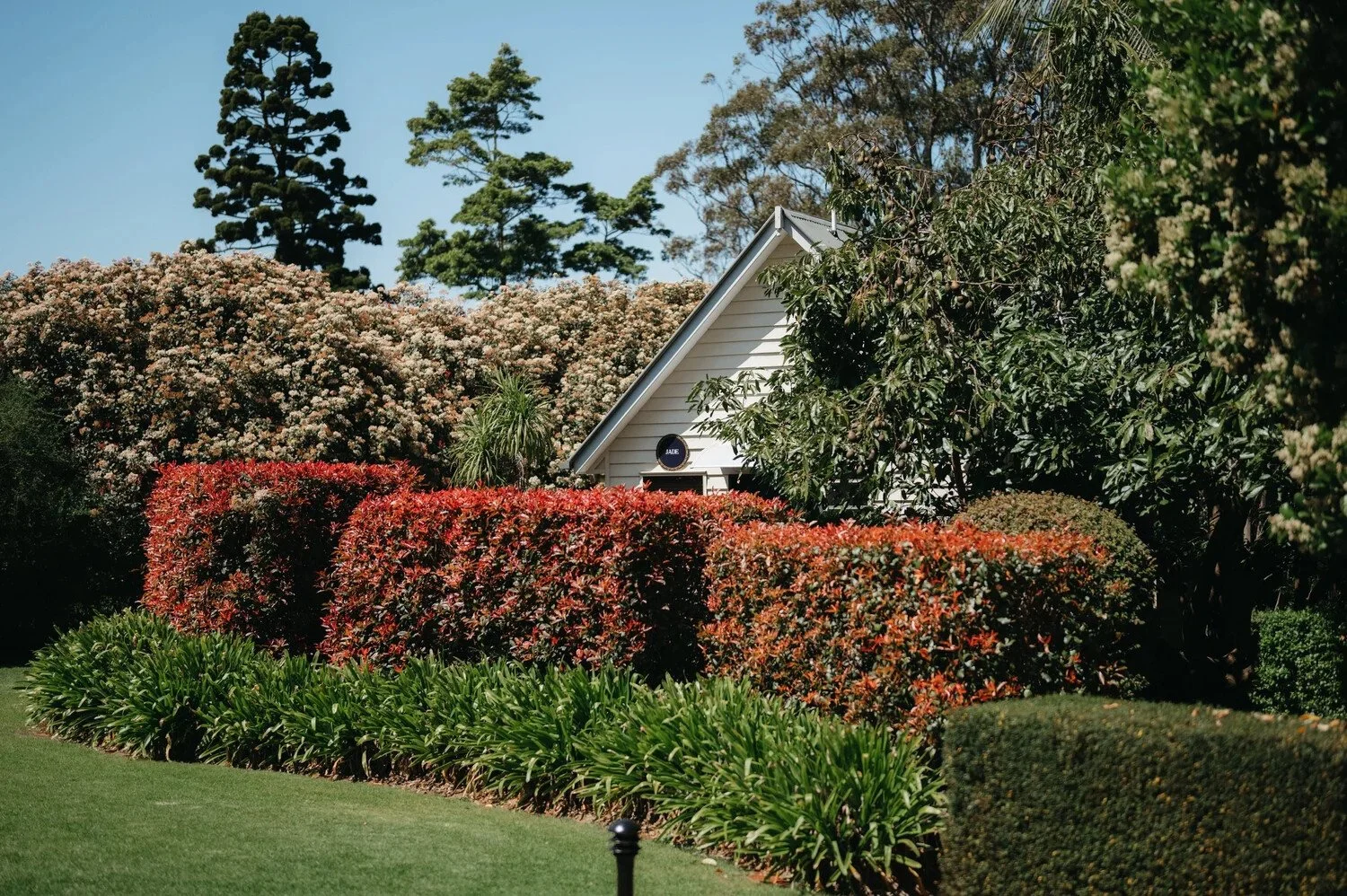 A Wedding Weekend on Tamborine Mountain: Where Everyone Can Stay