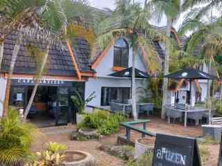 Shops, palm trees and outdoor café seating along Gallery Walk on Tamborine Mountain.