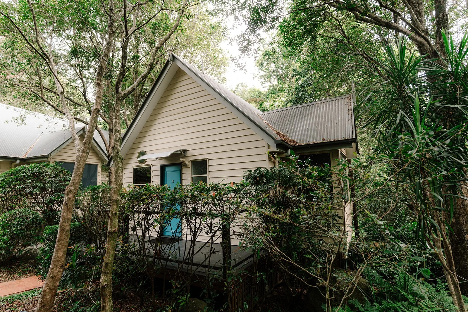 Faint_Shambala Estate 2025_0037.jpg