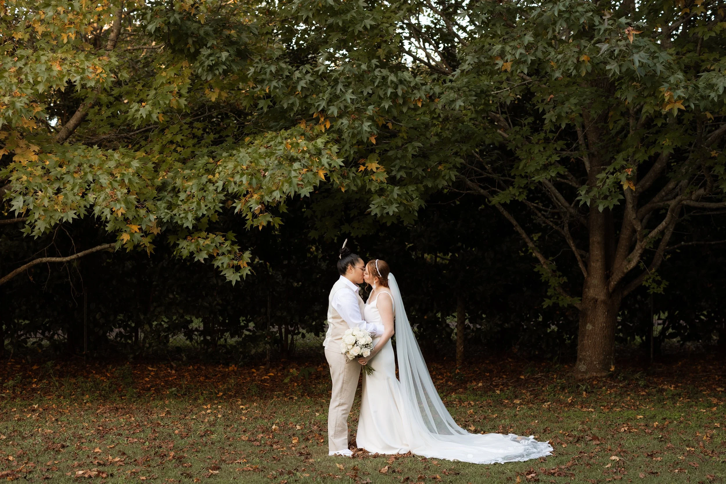 Twelve Months on Tamborine Mountain: A Year-Round Guide for Wedding Guests