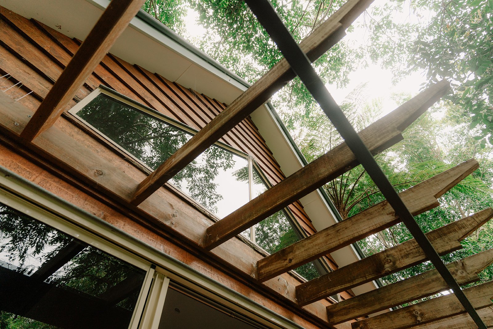 Faint_Shambala Estate 2025_0031.jpg