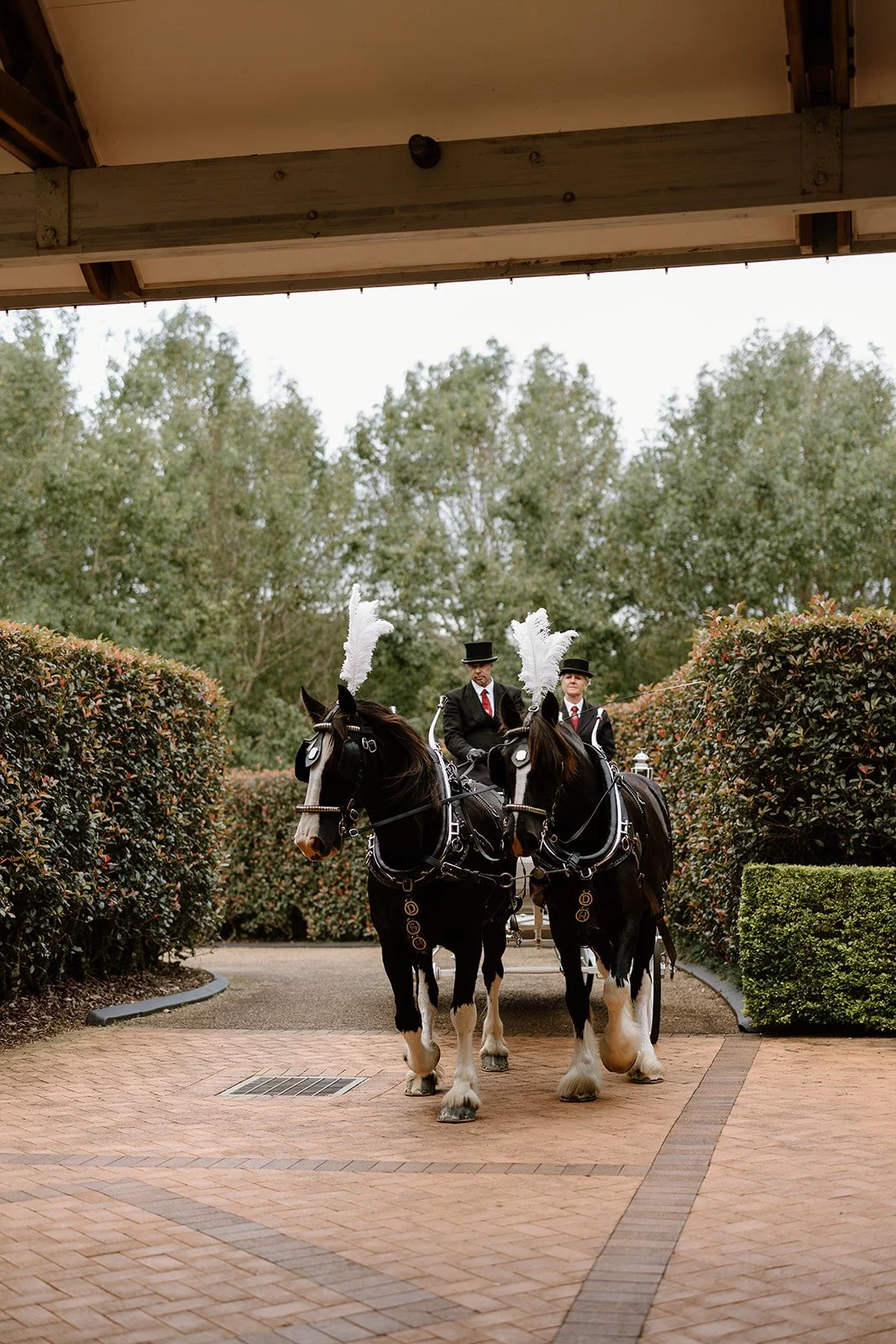 Planning a Destination Wedding on Tamborine Mountain