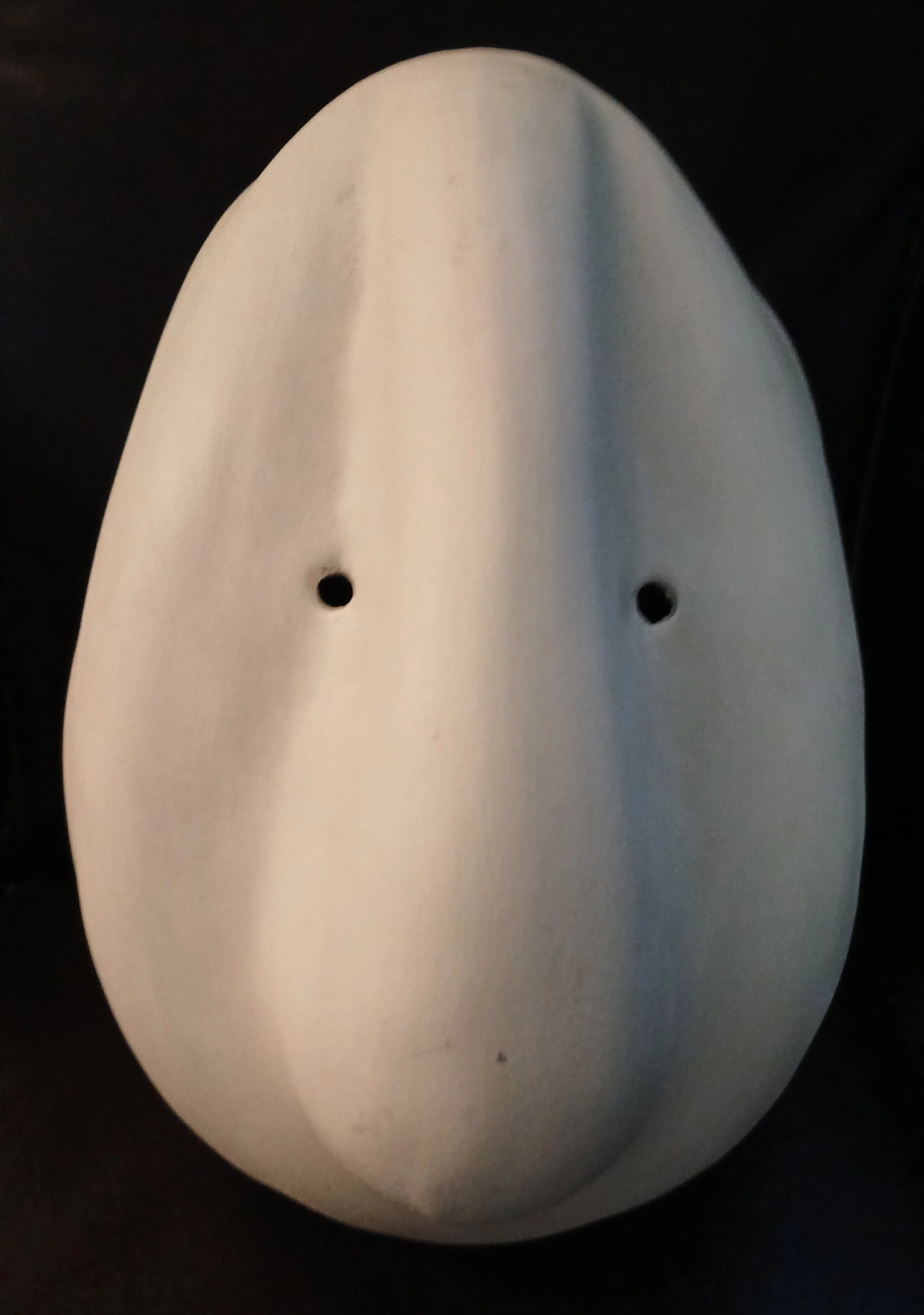 Larval masks used in actor teaining Workshops.