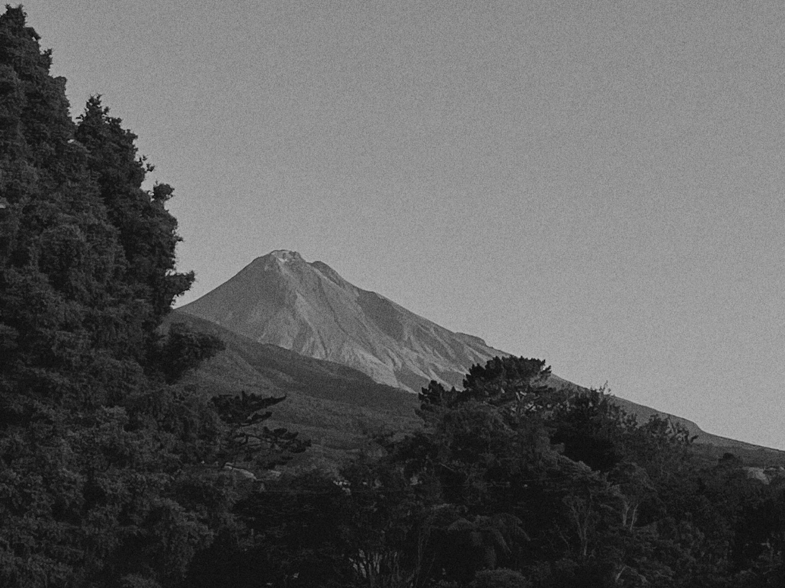 View of Mt. Taranaki from Louise's office.