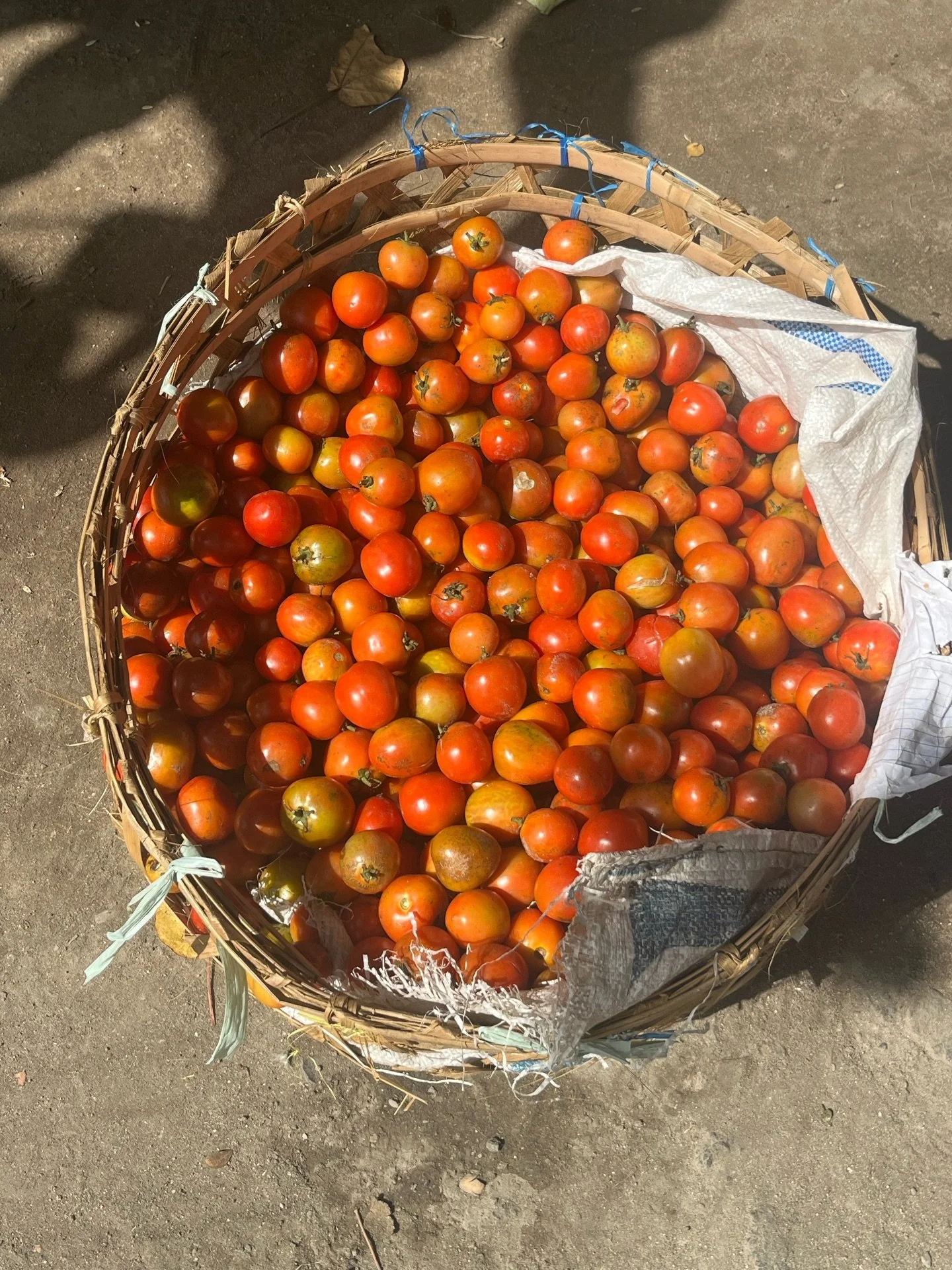 As we shift into cooler weather, eating seasonal produce becomes even more important to supply us with the nutrients we need for a strong immune system. Autumn brings to us fruit like passionfruit, kiwis, oranges &amp; melons and veggies like capsicu