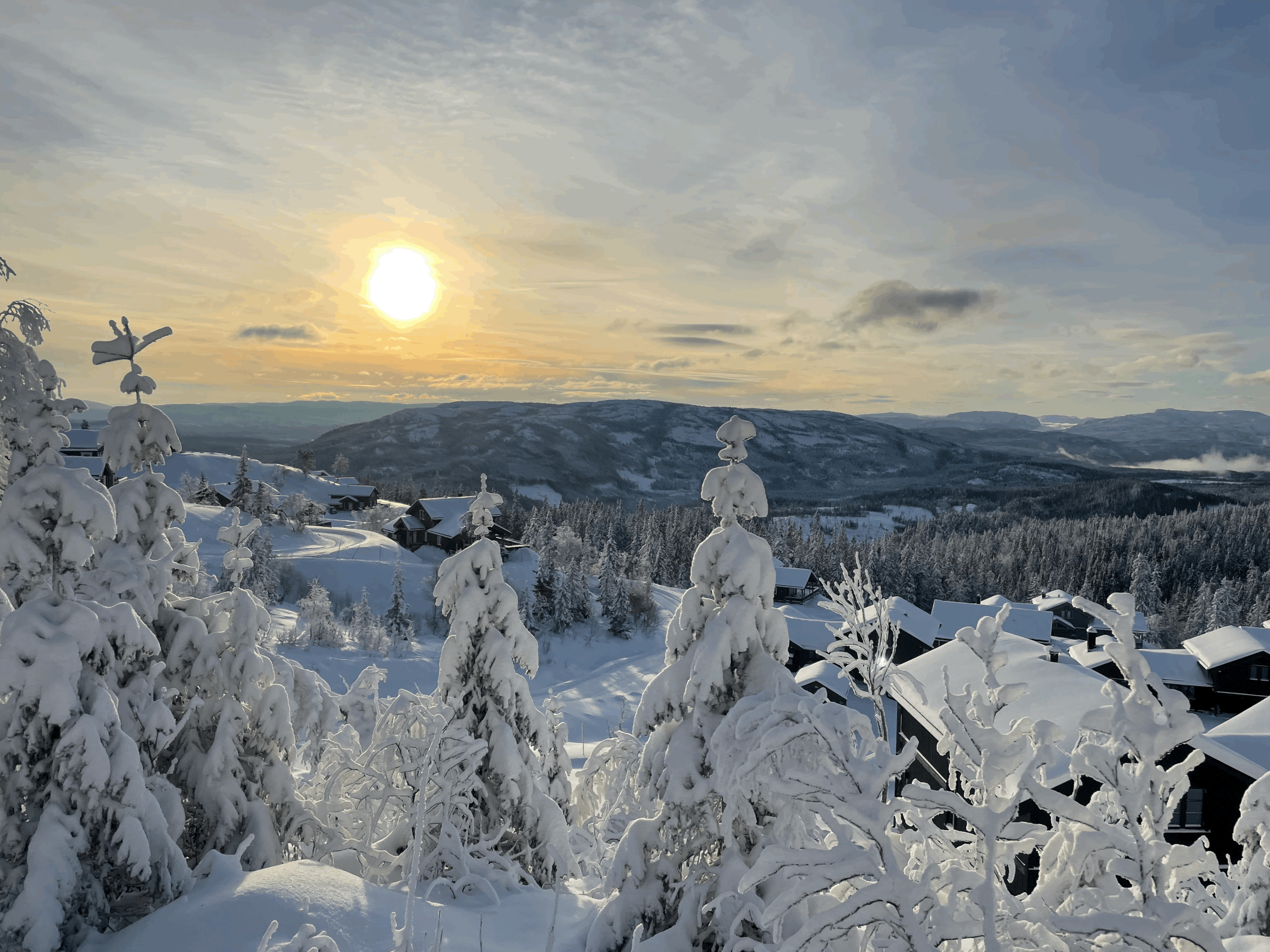 How to Use Winter Downtime on the Homestead