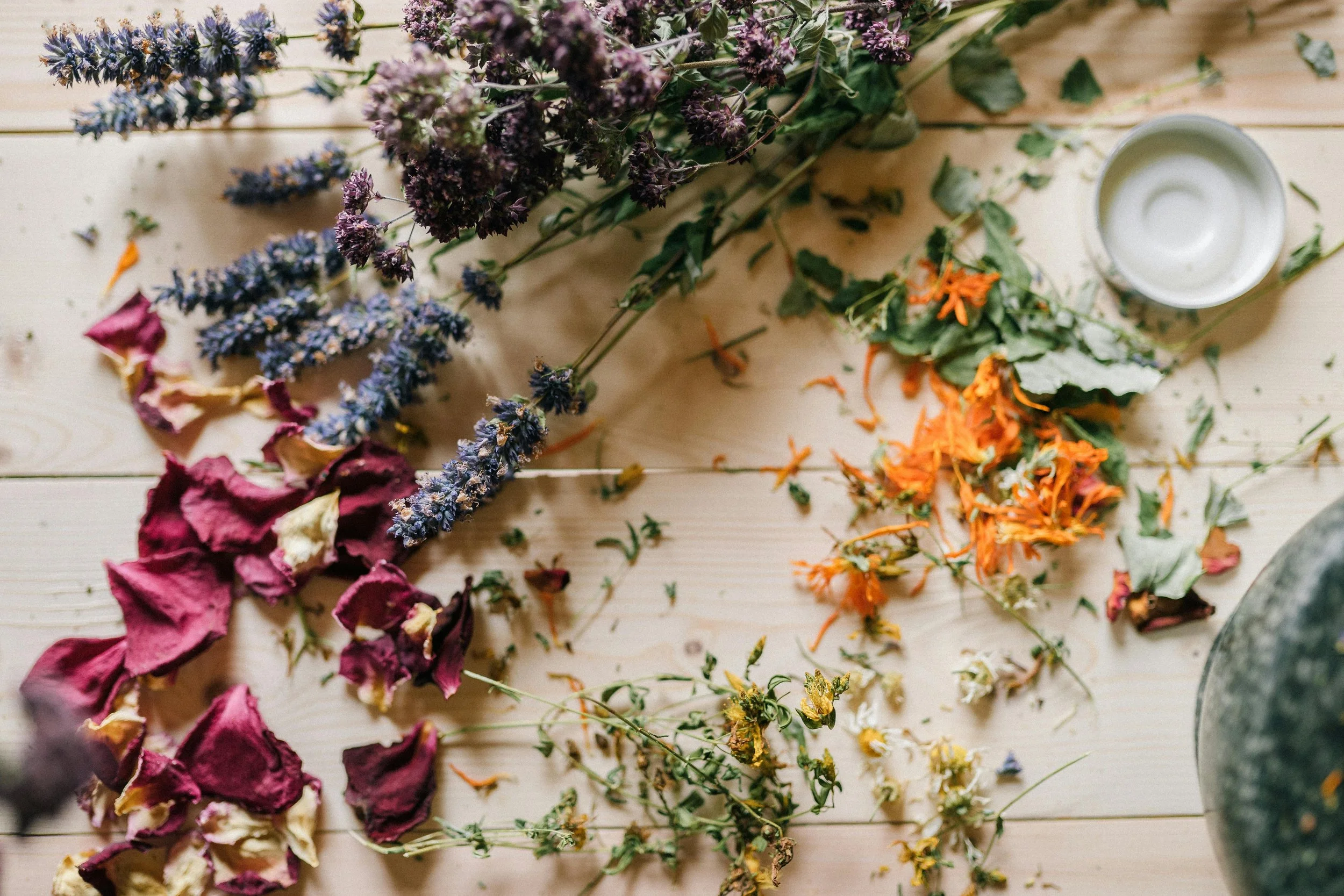 Growing and Foraging Medicinal Plants and How to Use Them
