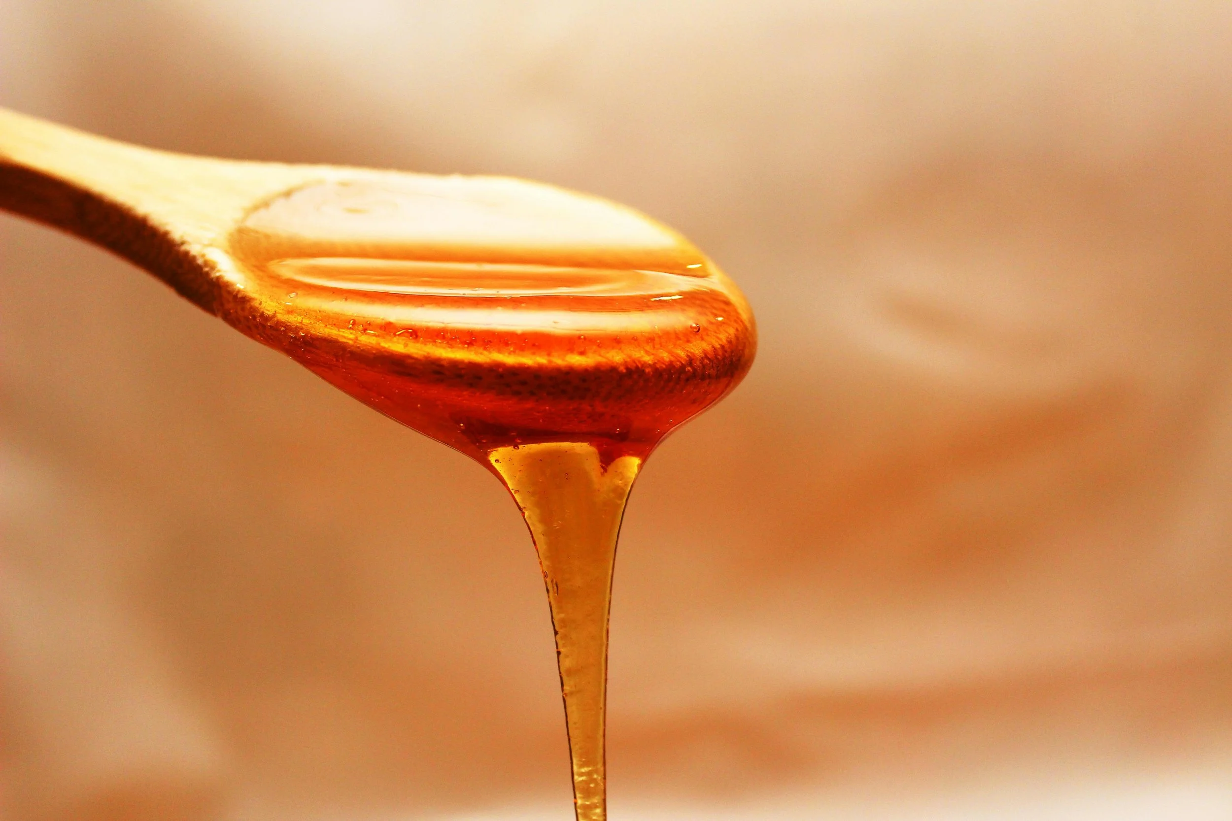 Commercial honey is one of the most altered foods in Europe | Solvang Gård