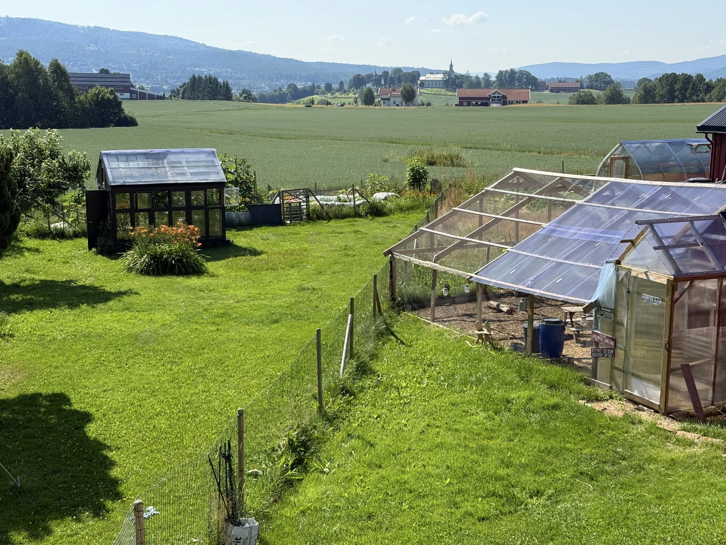 Save enclosed chicken run | Solvang Gård