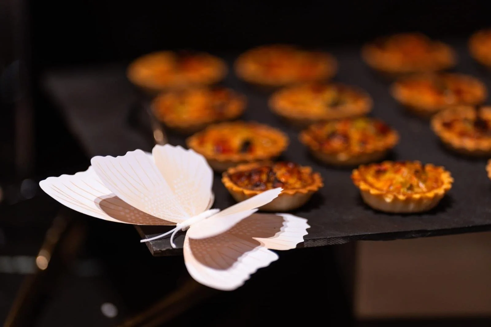 WhatsApp Image 2026-01-04 at 19.32.28.jpeg