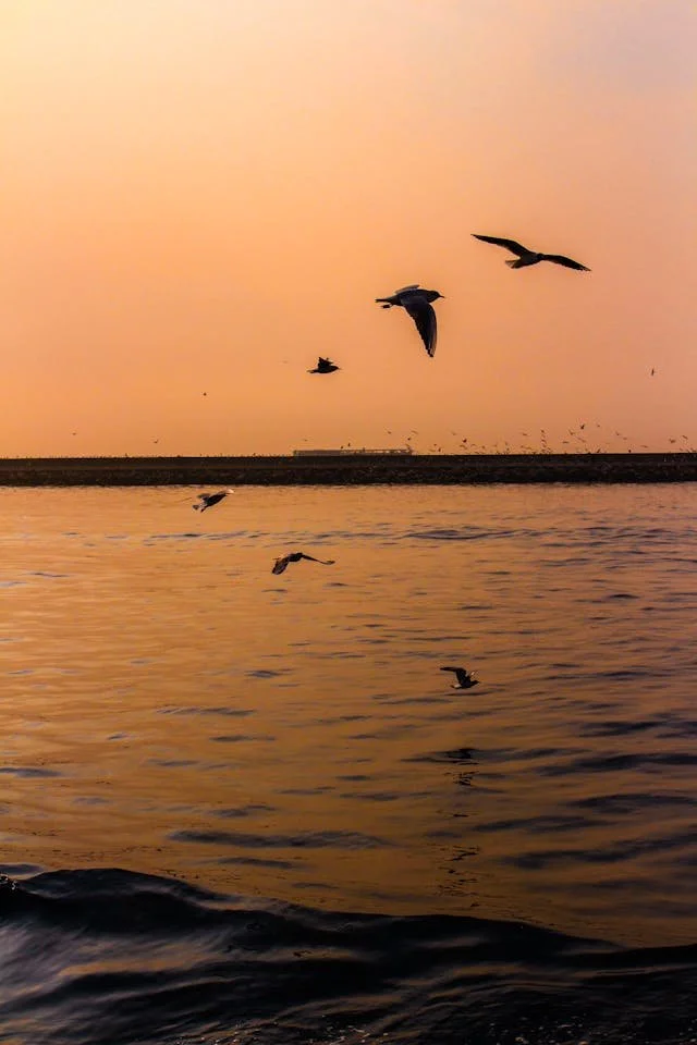 Photo by Nazli Isguven