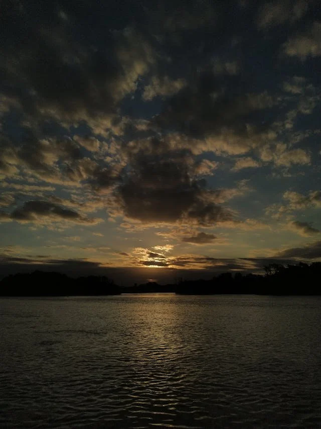 Photo by Alice Castro