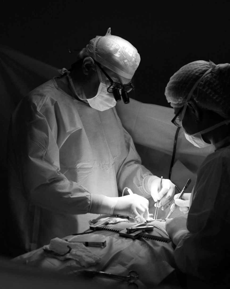 Primary health promotion