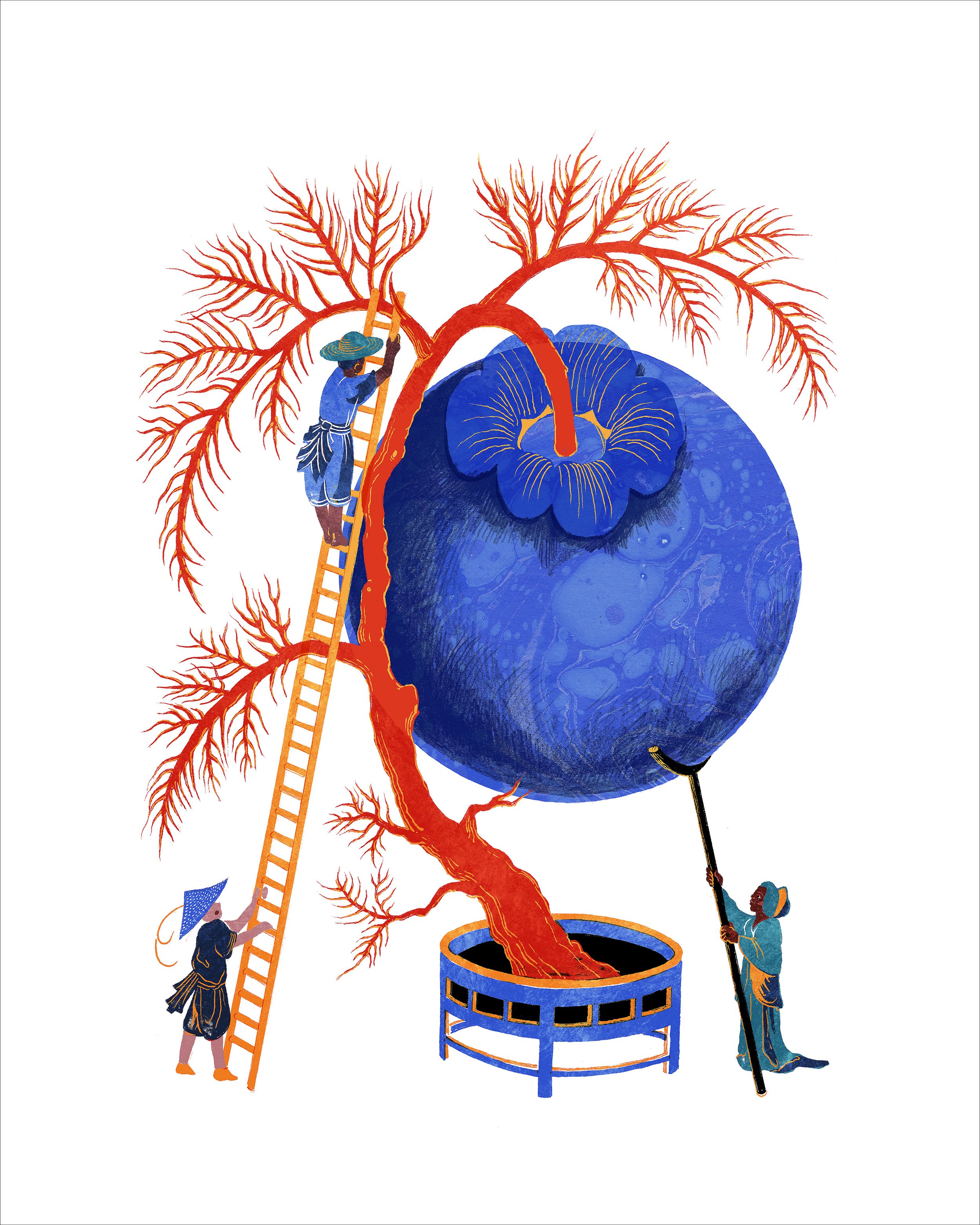 LaRecolteDuSuperbleu_24x30.jpg