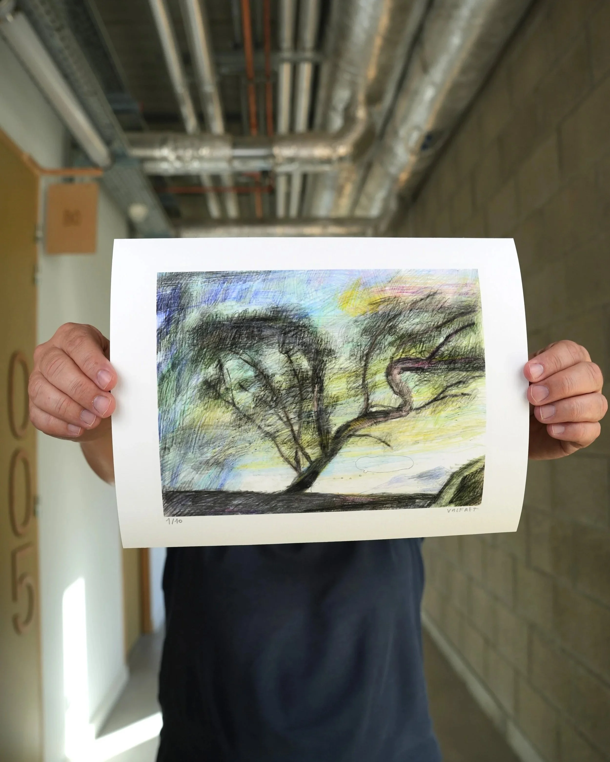 Arbre_Valfret.jpg