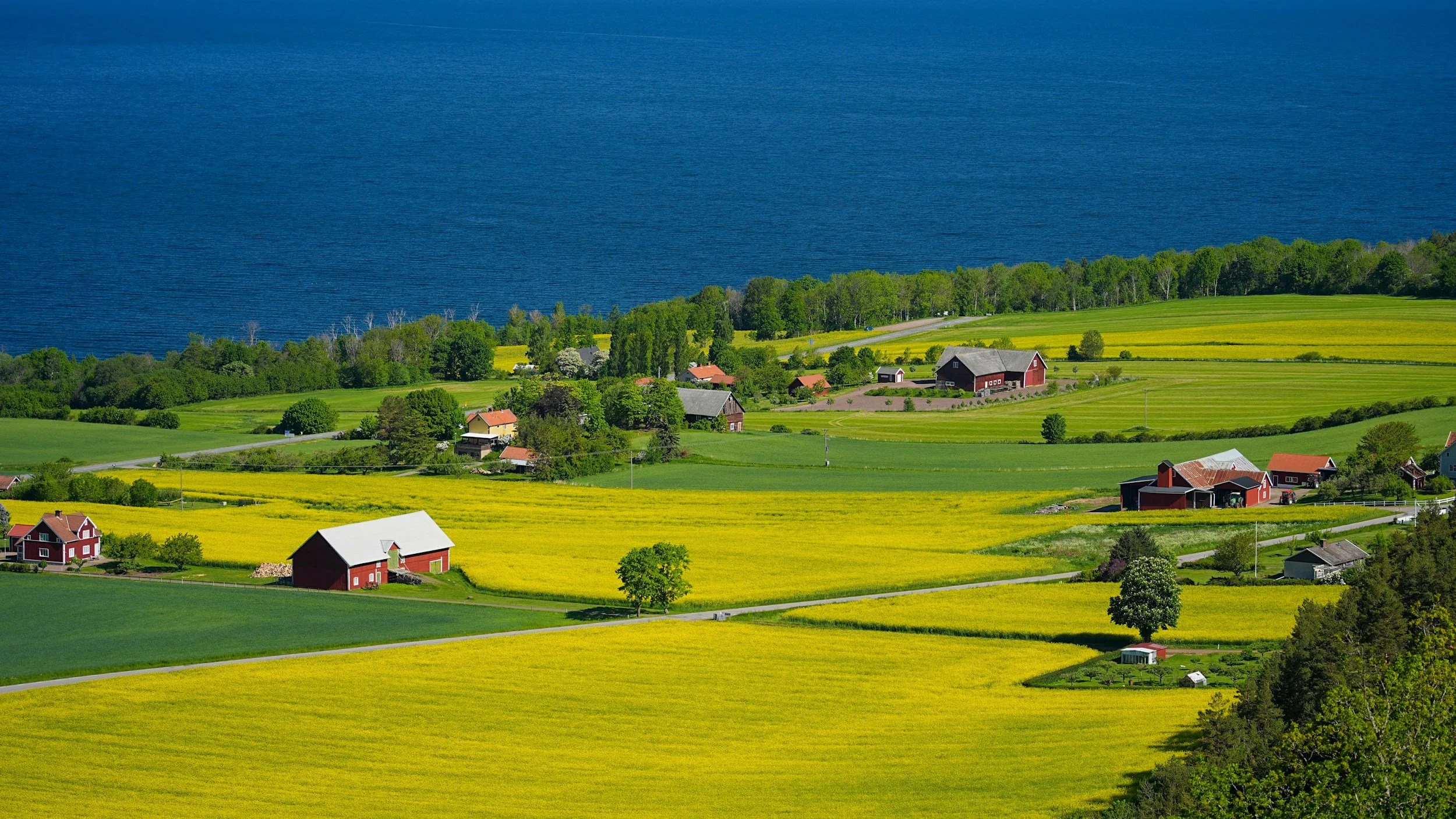 A scenic view of farmland with green fields, yellow crops, several houses and barns, and a large lake in the background under a clear sky.