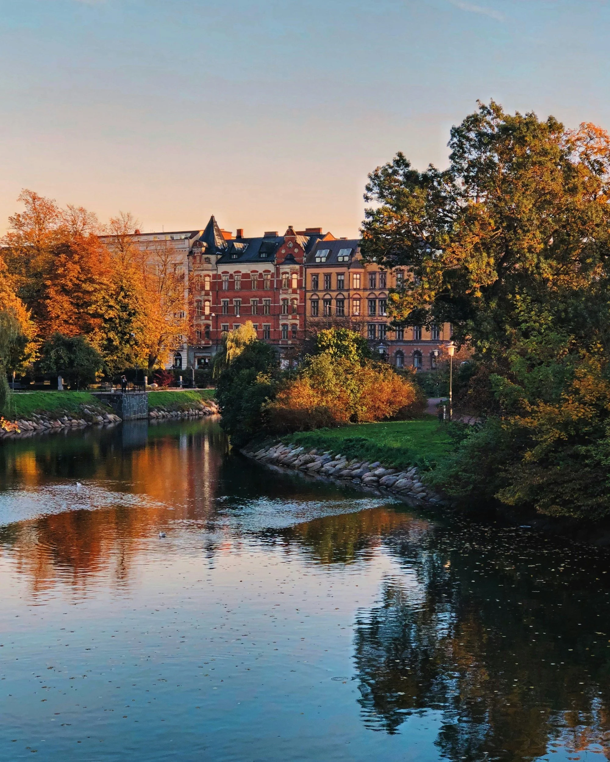 A river flowing through a city park with trees displaying fall foliage, and multistory residential buildings in the background, under a pale blue sky.
