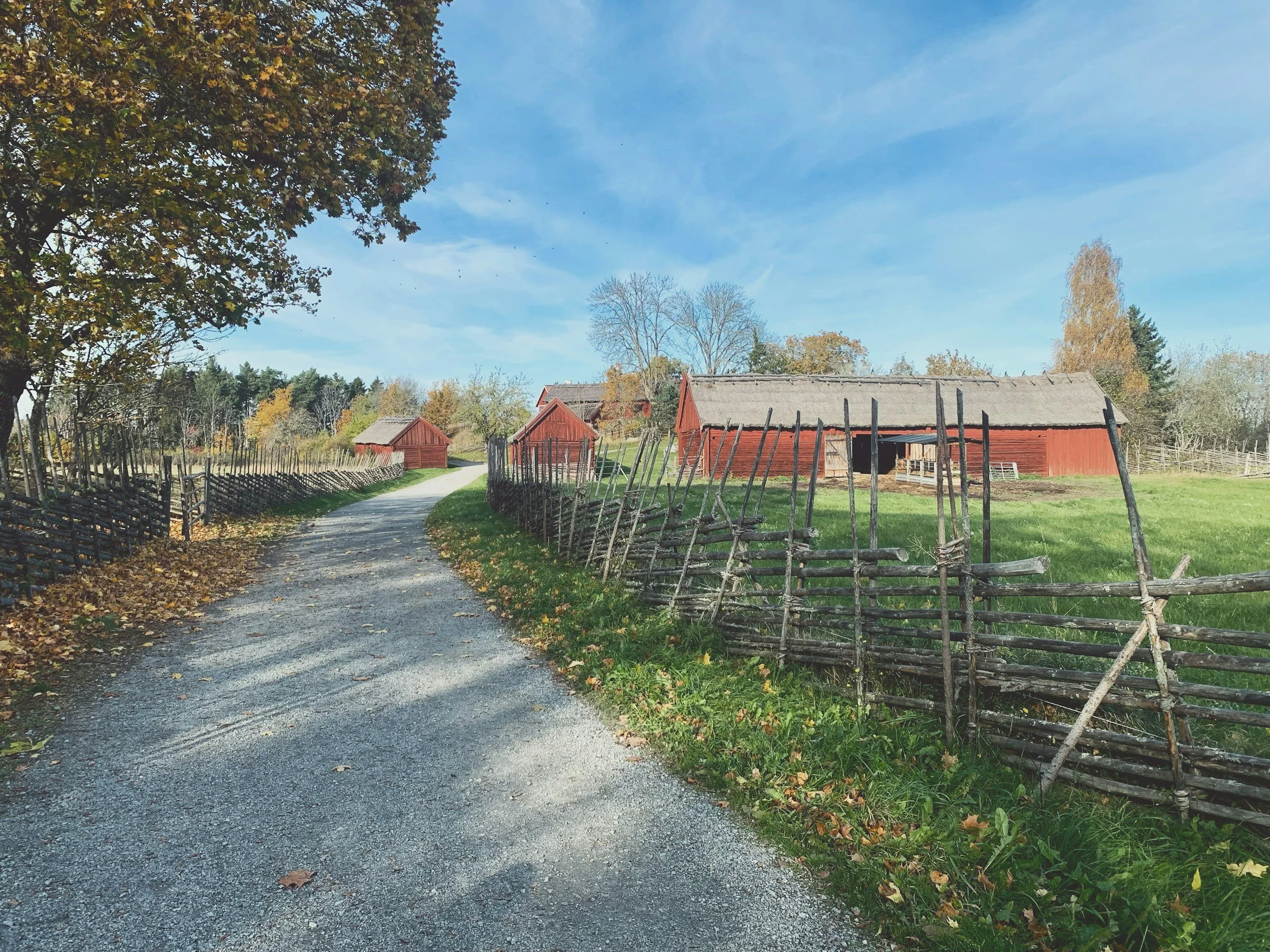 Historic red wooden farm buildings with thatched roofs, rustic woven fences, and a gravel path in an autumn landscape
