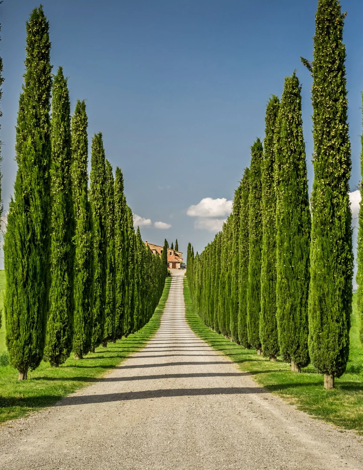 Tuscany, Travel Guide - Guided by Andrew copy 6.jpg